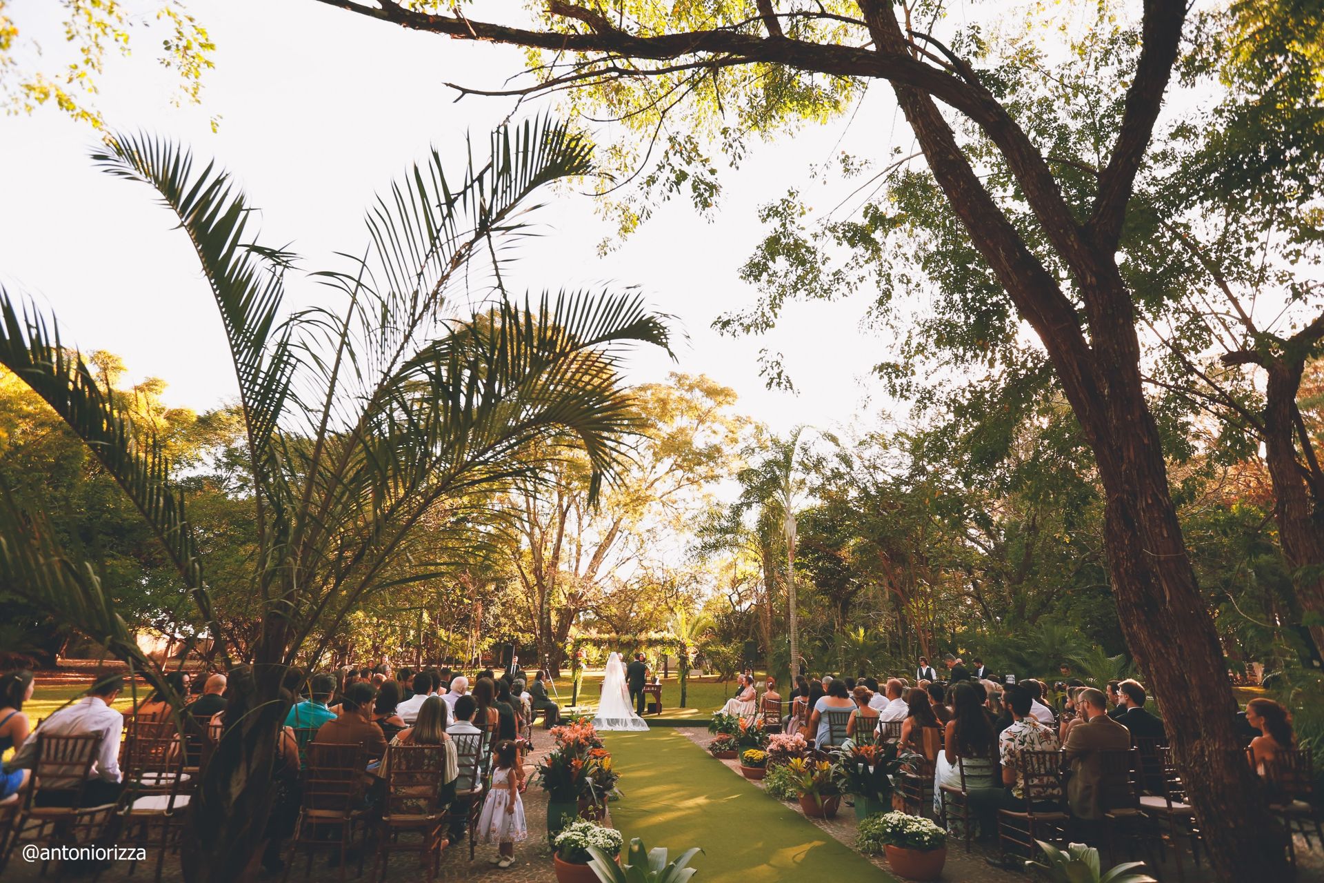 Ana flavia + Arthur-173.JPG