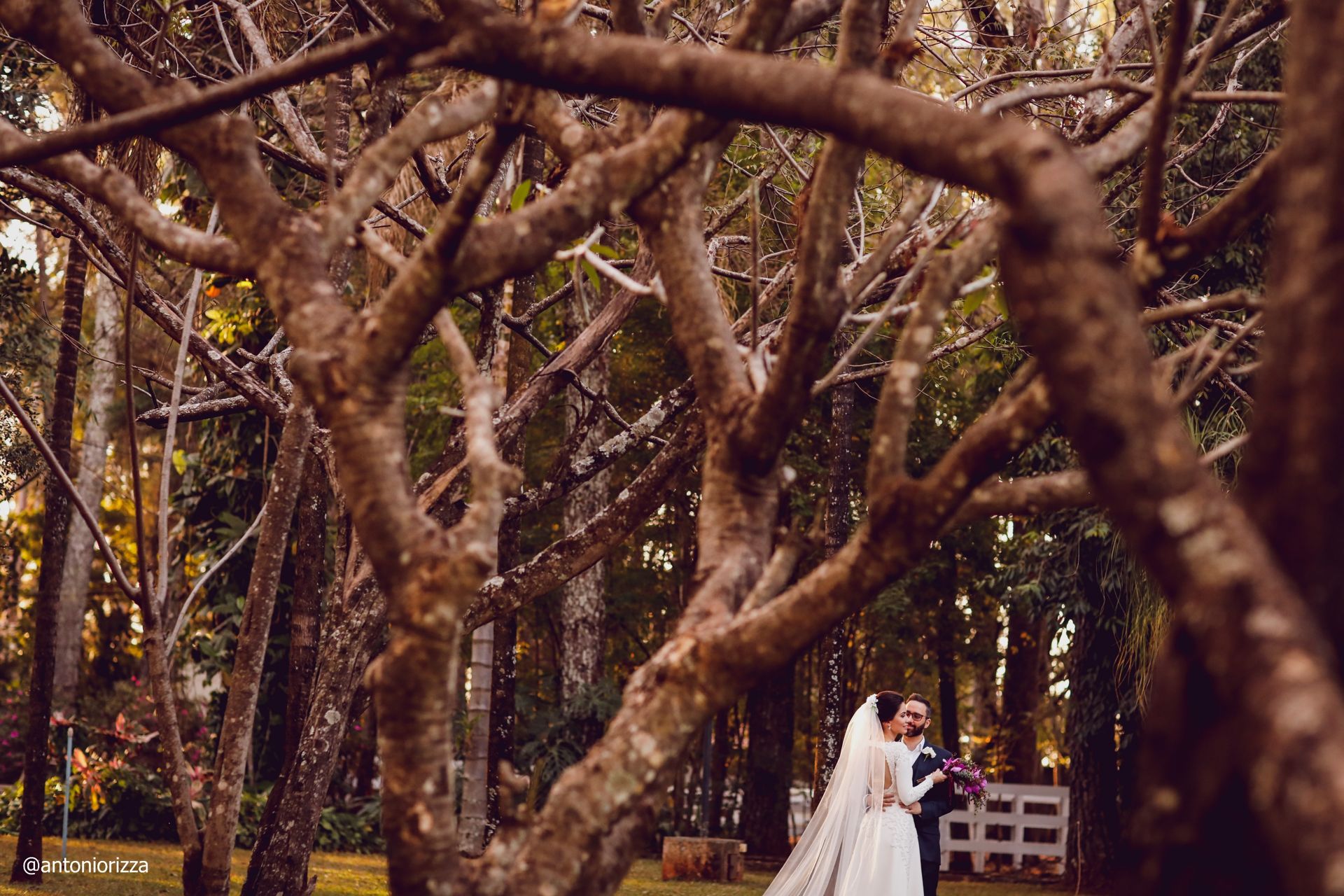 Ana flavia + Arthur-262.JPG