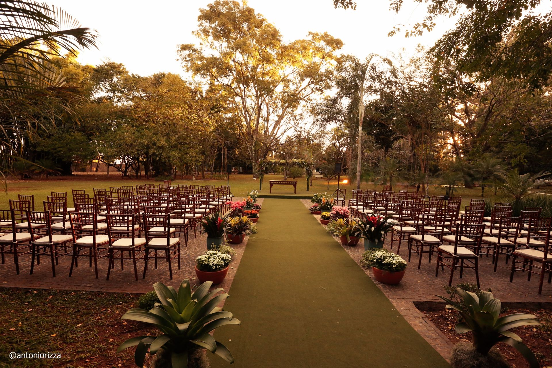 Ana flavia + Arthur-293.JPG