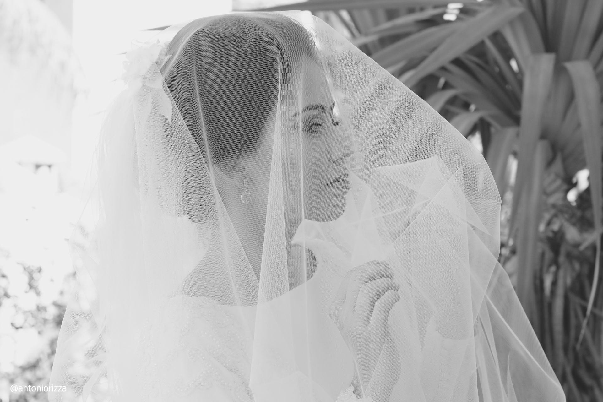 Ana flavia + Arthur-90.JPG