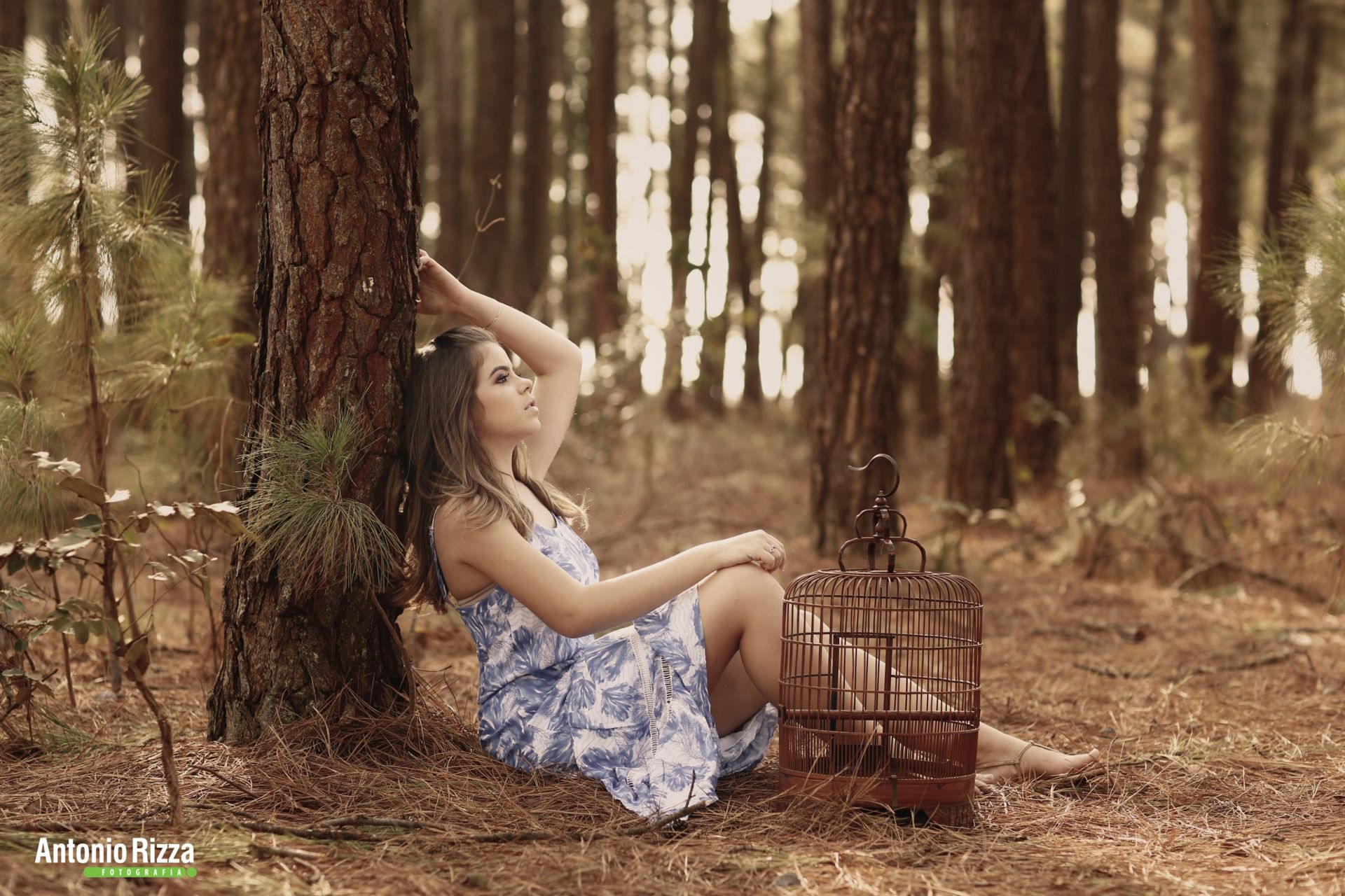 Foto Ana Luisa - Imagem 44