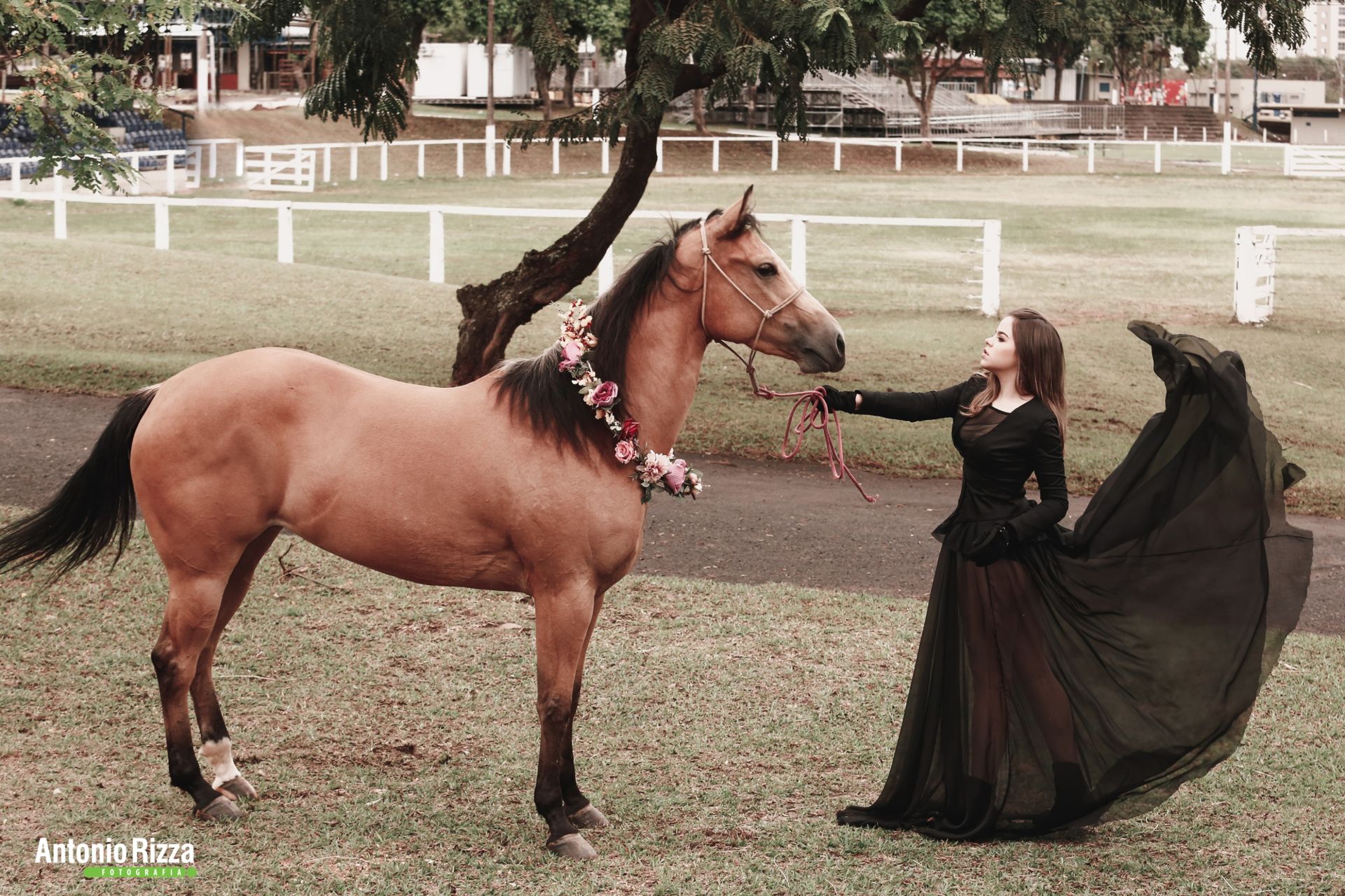 Foto Ana Luisa - Imagem 52