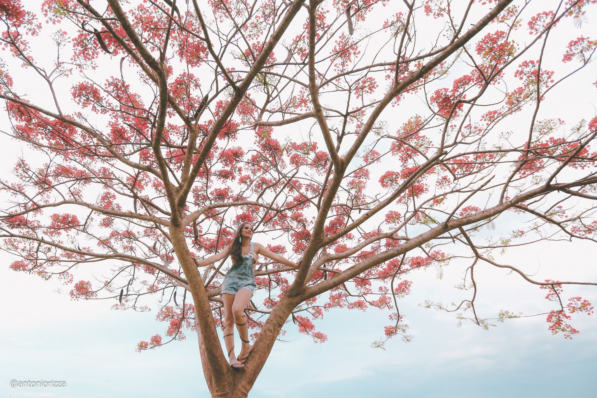 Foto Ensaio Fotográfico Ana Laura Tahan em Ituiutaba - Imagem 16