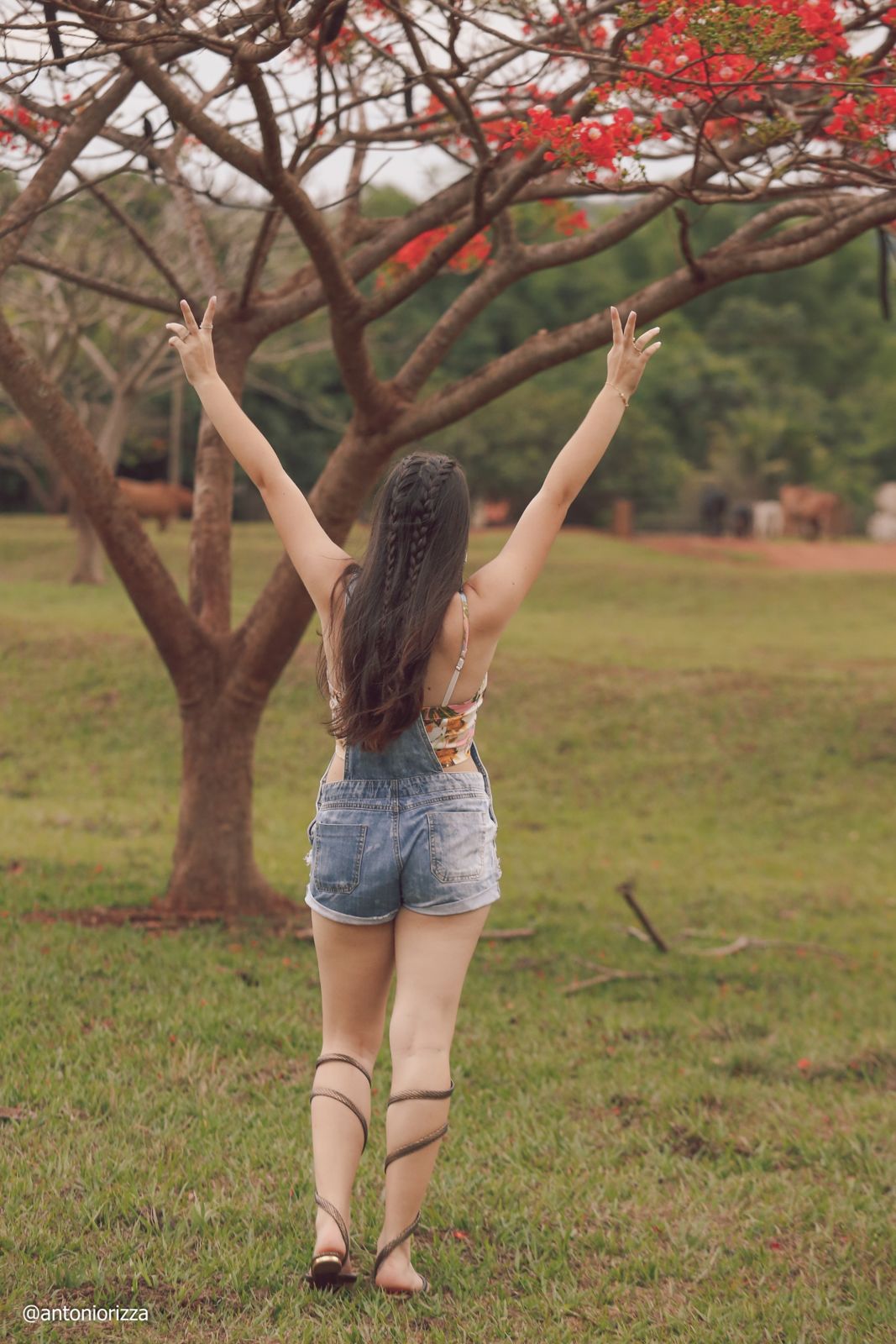 Foto Ensaio Fotográfico Ana Laura Tahan em Ituiutaba - Imagem 92