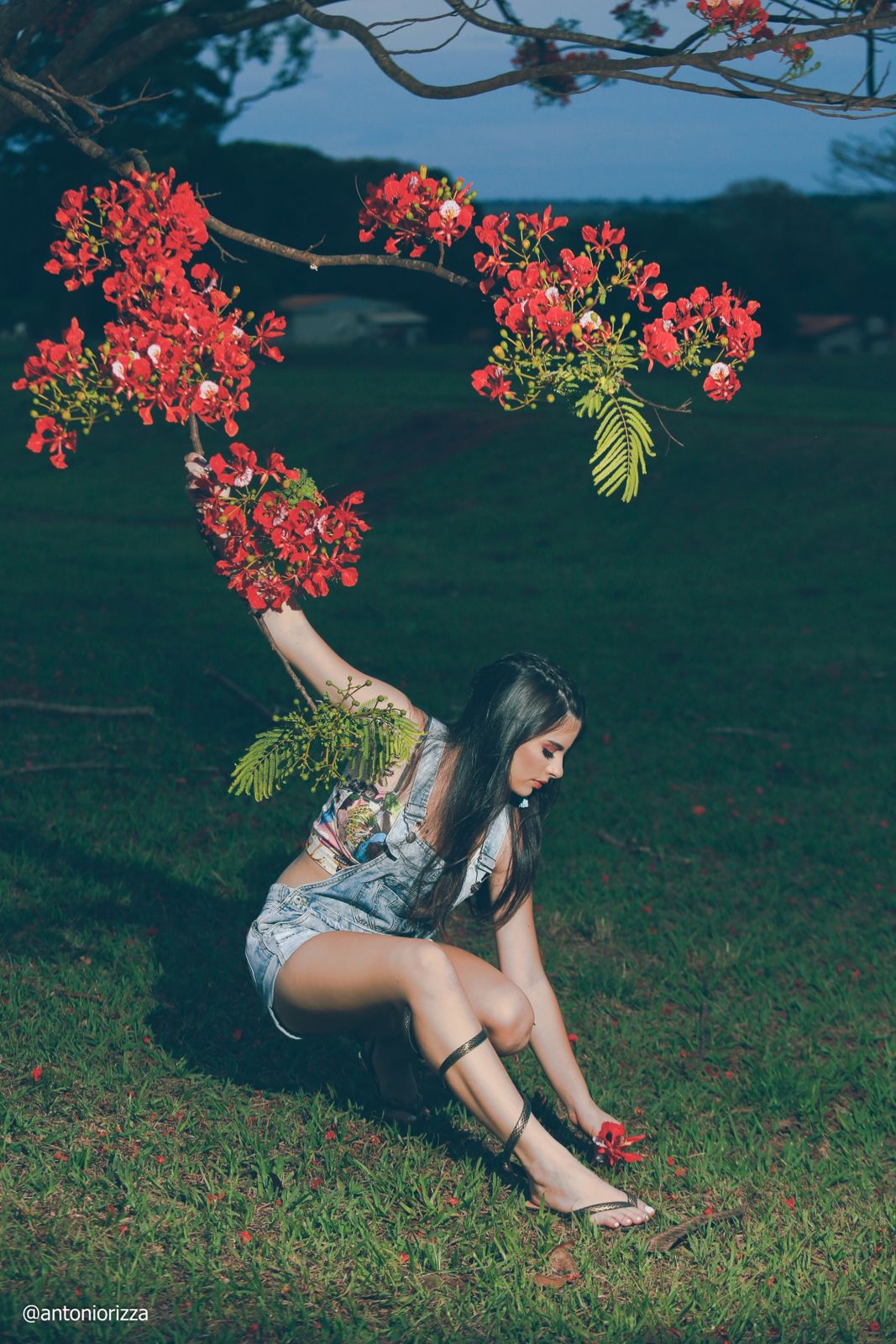 Foto Ensaio Fotográfico Ana Laura Tahan em Ituiutaba - Imagem 94