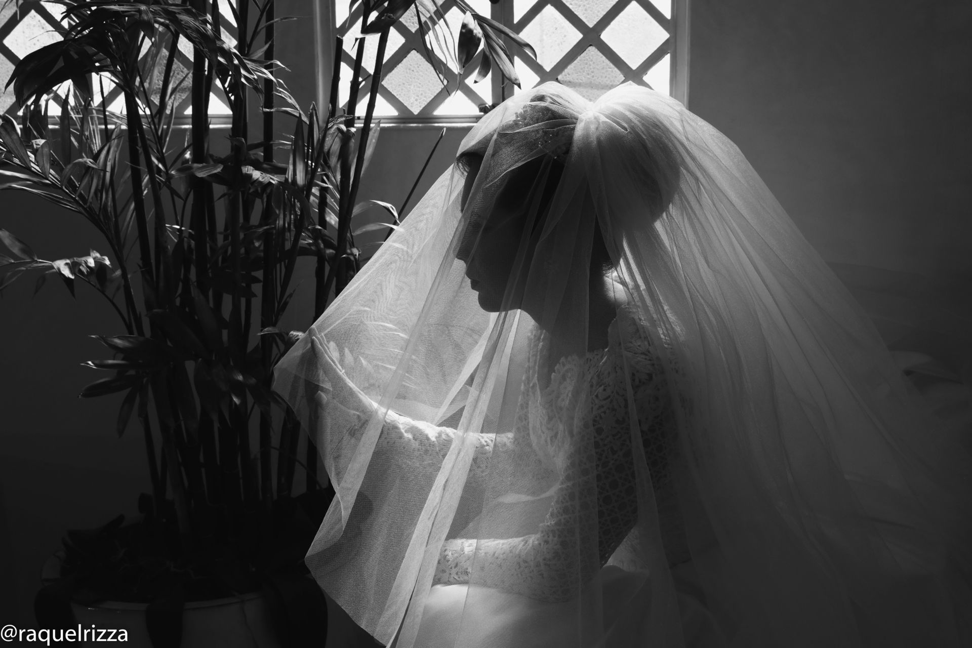 Foto Larissa e Jansen - Imagem 15