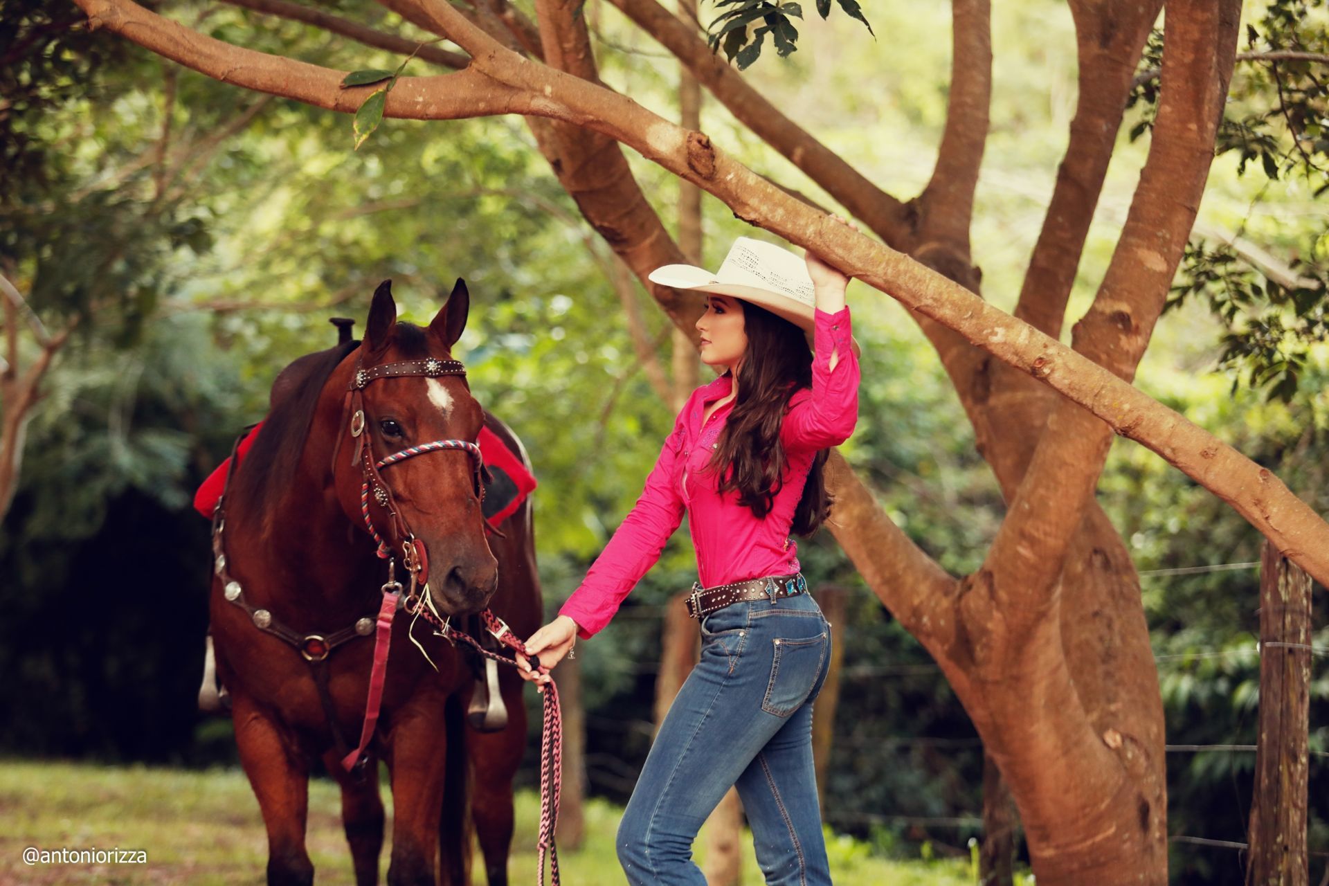 Foto Ensaio Ana Julia - Imagem 32