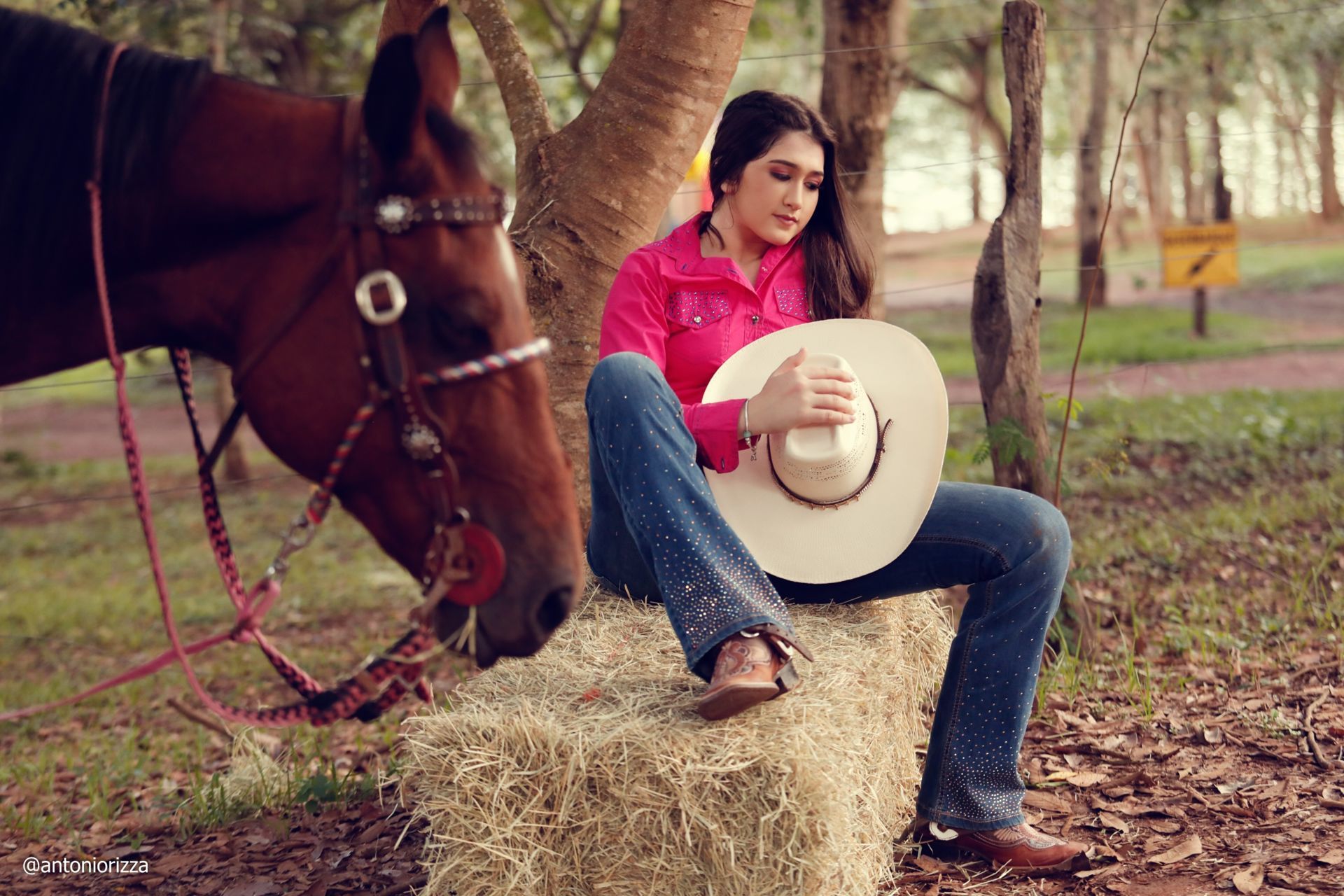 Foto Ensaio Ana Julia - Imagem 77