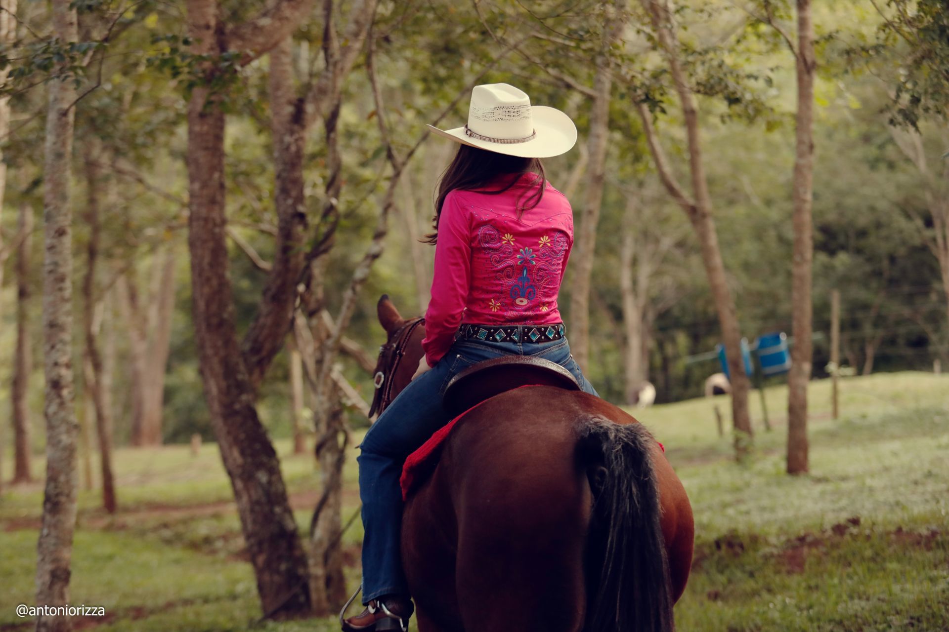 Foto Ensaio Ana Julia - Imagem 90