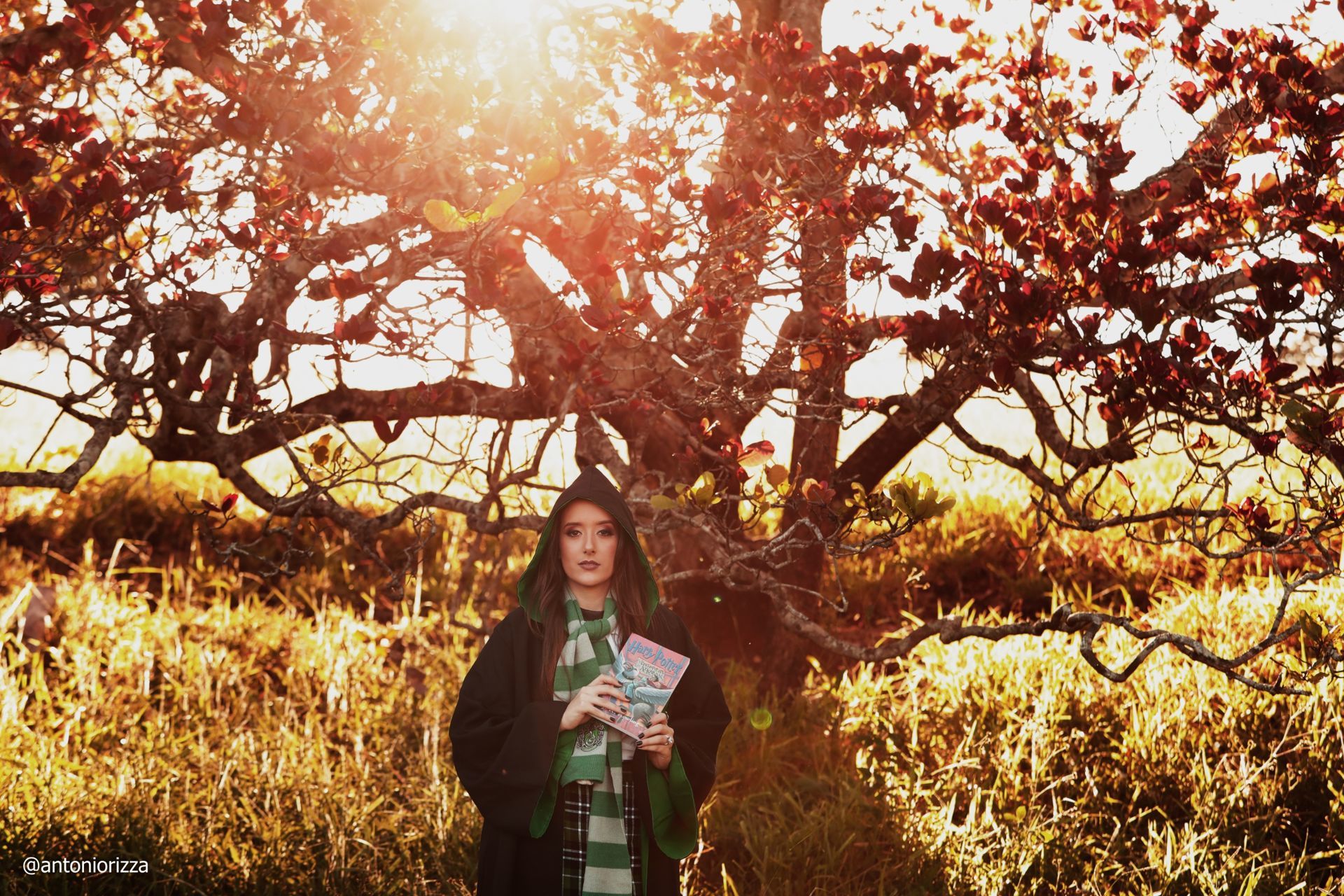 Foto Ensaio Mariana - Imagem 18