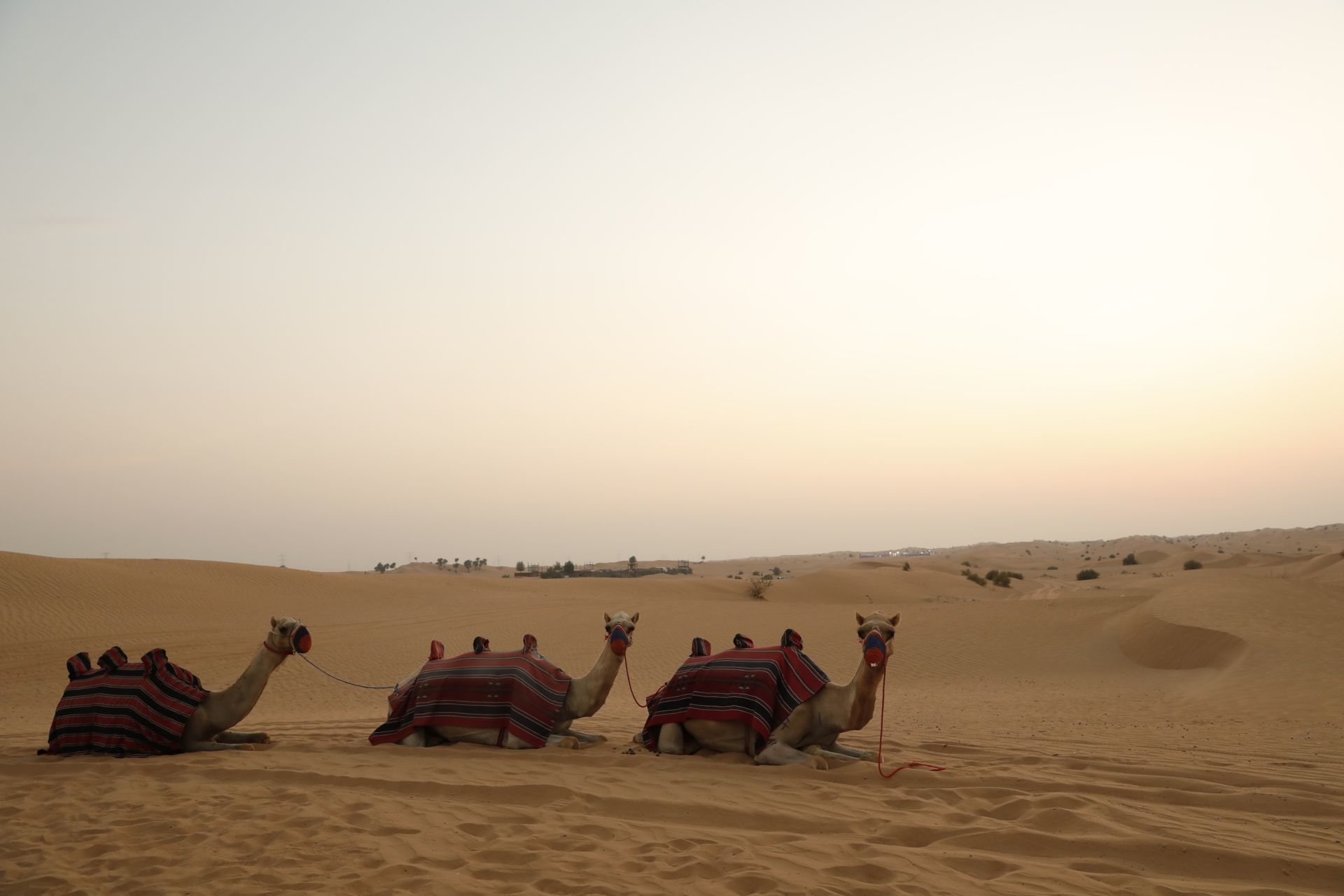 Foto Maria Cecilia Dubai - Imagem 41