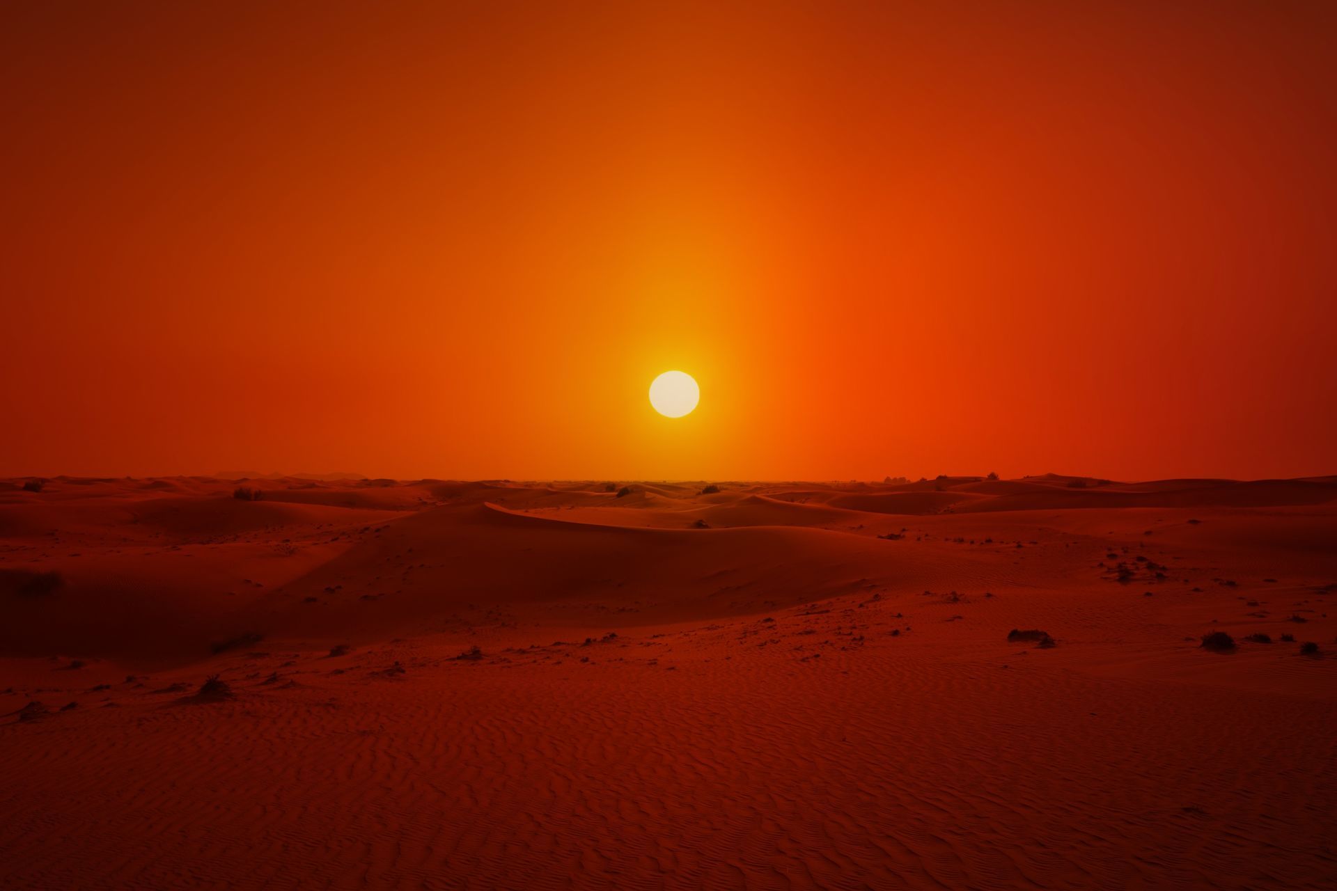 Foto Maria Cecilia Dubai - Imagem 46