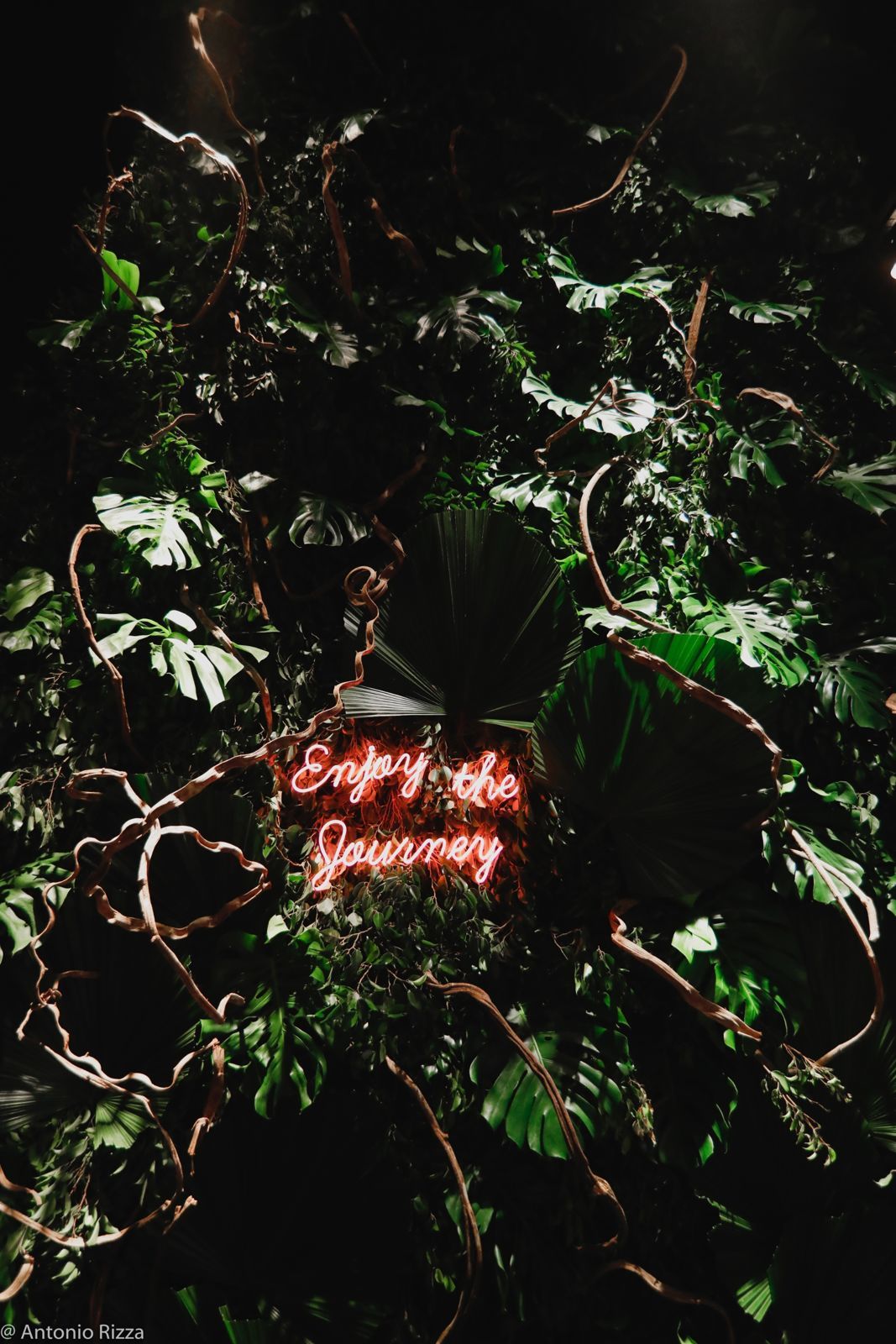 Foto 15 anos Ana Luiza Prado - Imagem 25