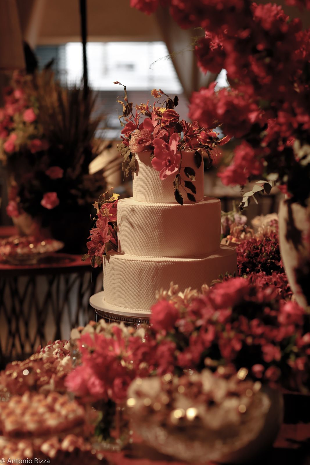 Foto Ana Gabriela e Iago - Imagem 14