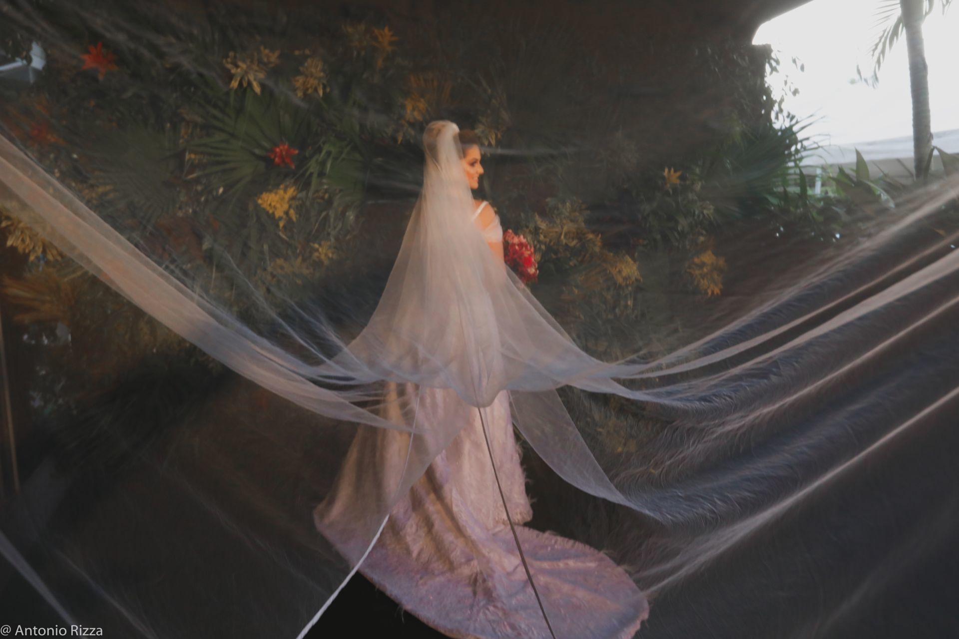 Foto Ana Gabriela e Iago - Imagem 17