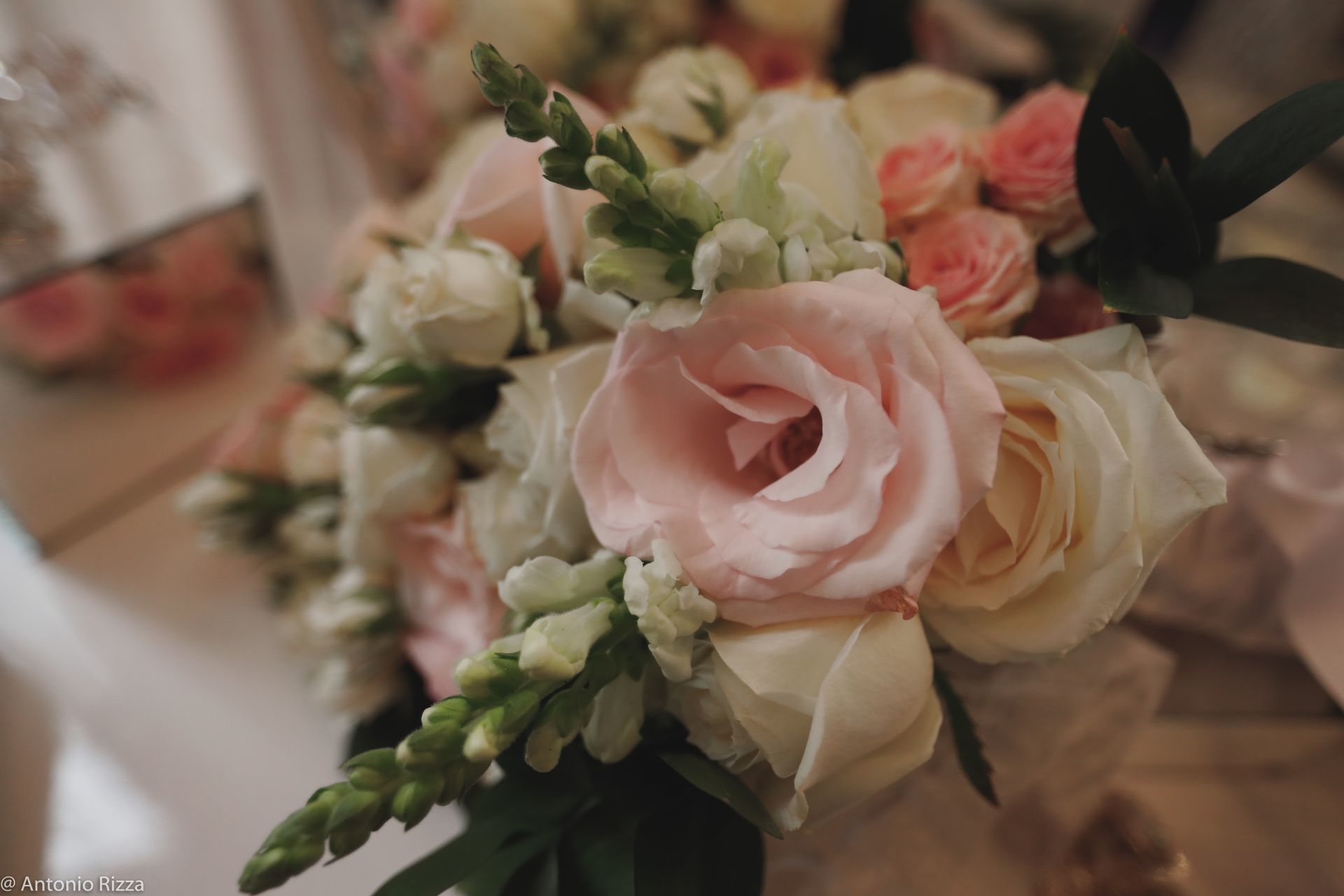 Foto Cas Isabela & Raphael - Imagem 20