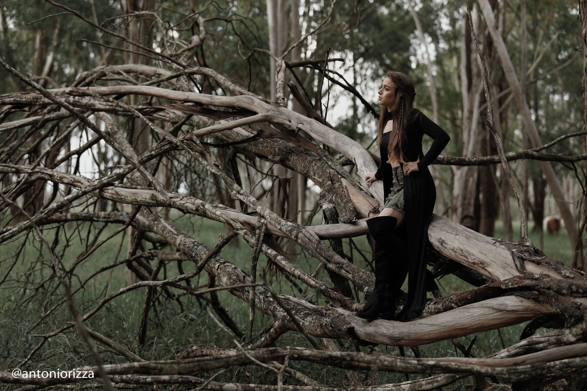 Foto Ana Clara - Imagem 17