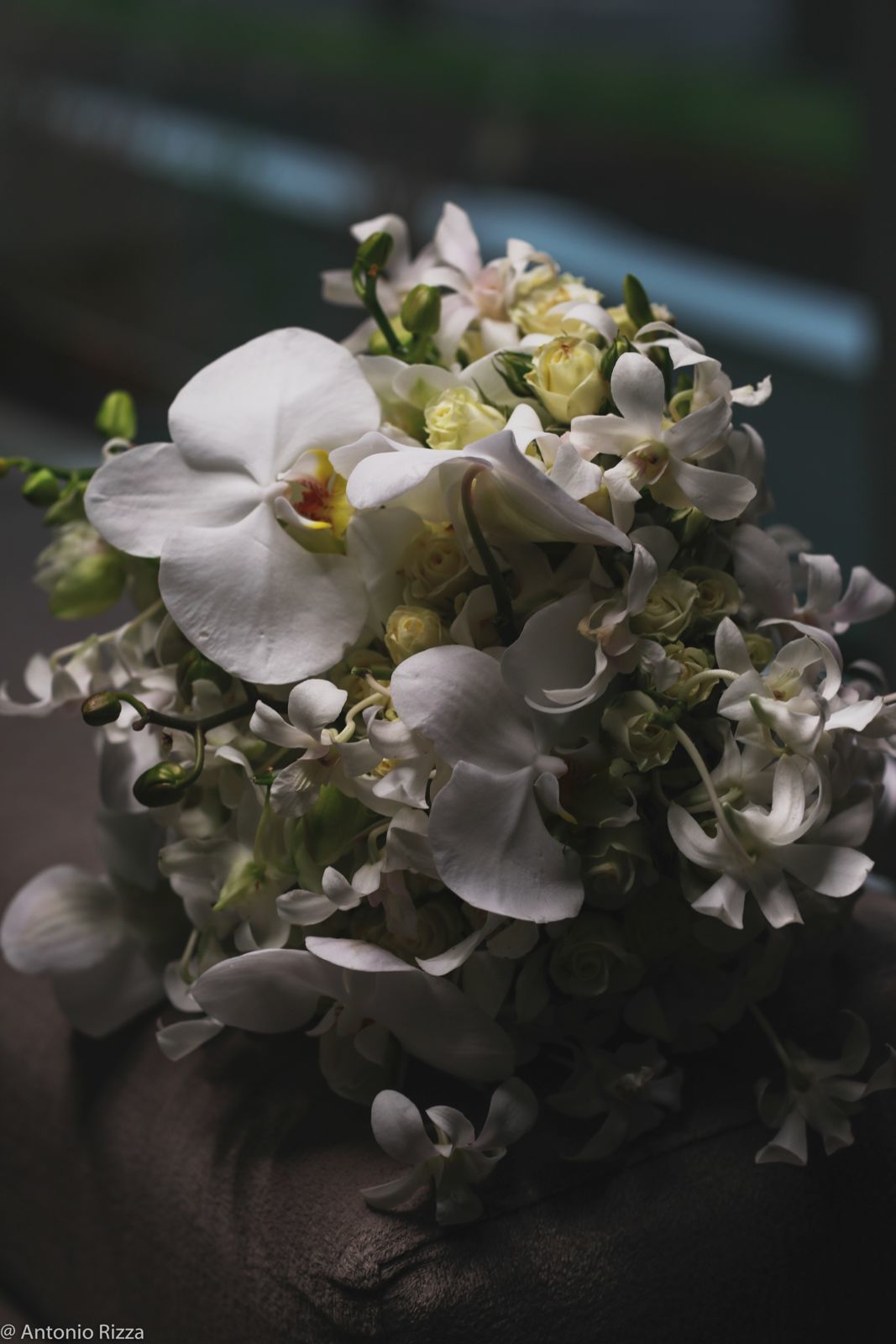 Foto Camilla e Raffael - Imagem 14