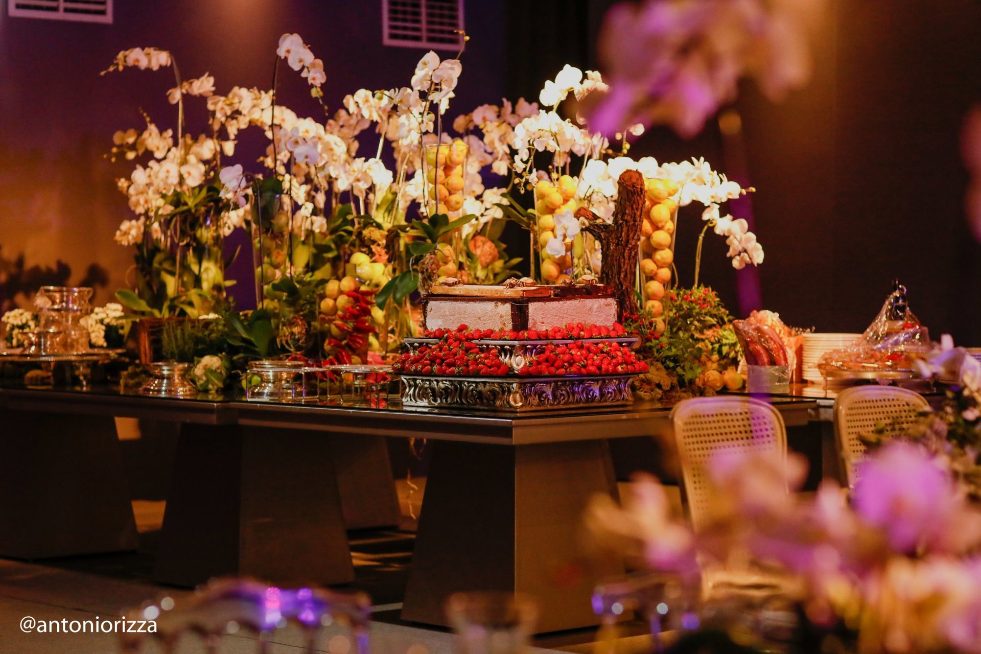 Foto Ana e Zé - Imagem 20