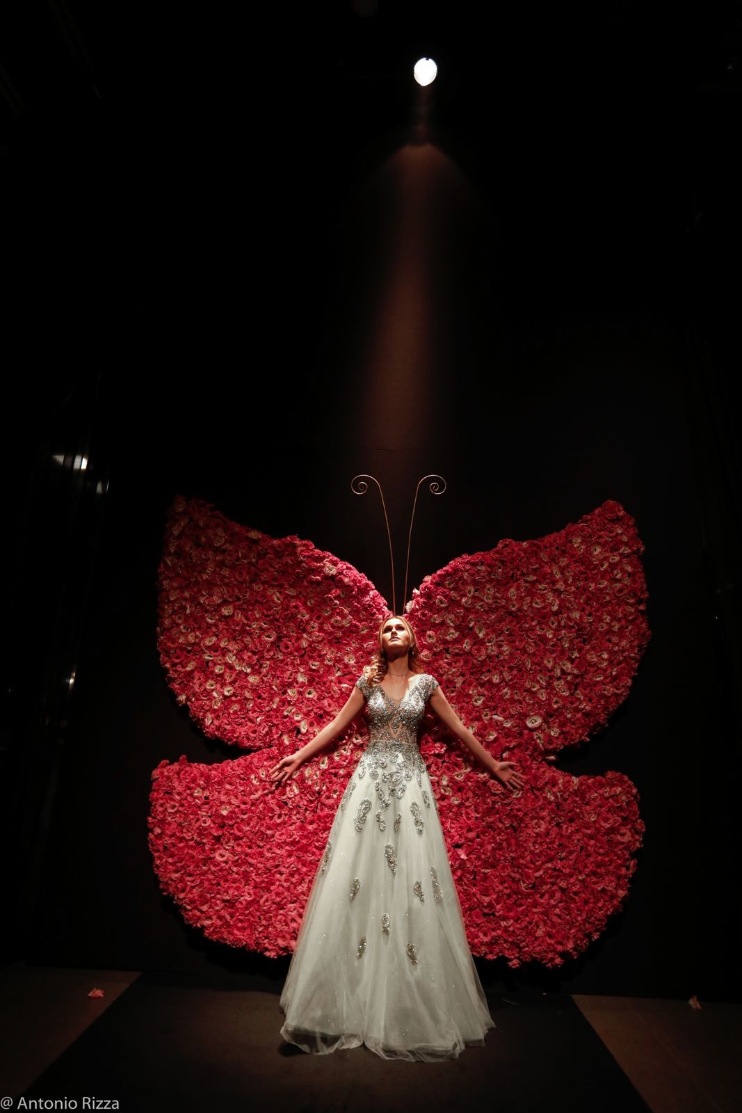 Foto 15 anos Anna Laura - Imagem 7