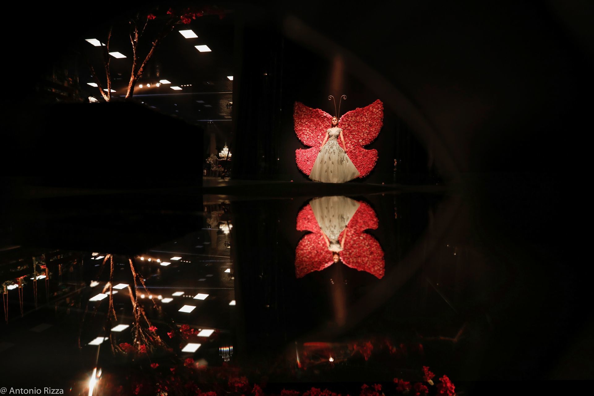 Foto 15 anos Anna Laura - Imagem 9