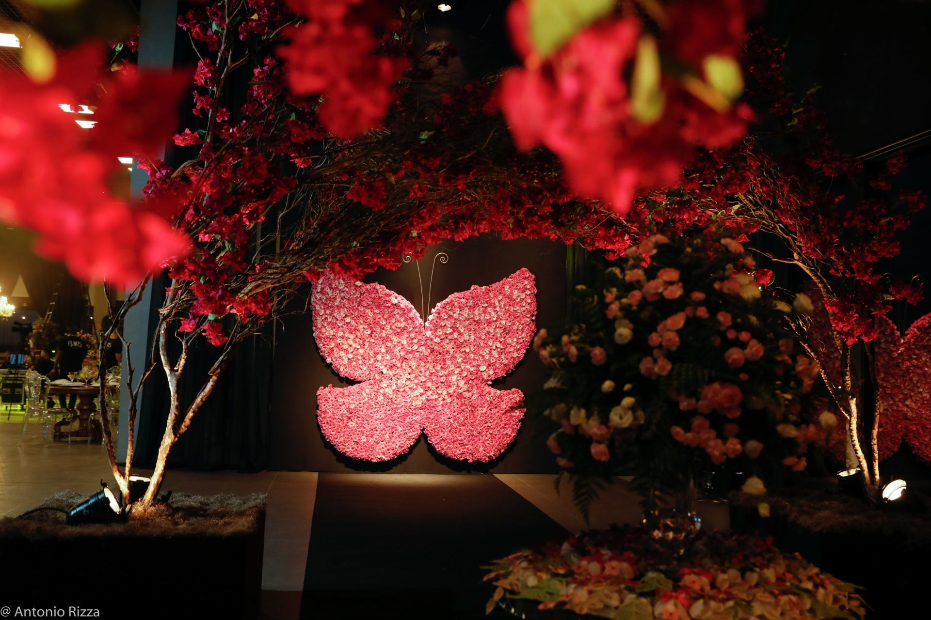 Foto 15 anos Anna Laura - Imagem 0