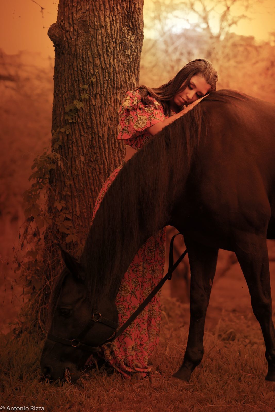 Foto Maria Clara - Imagem 25