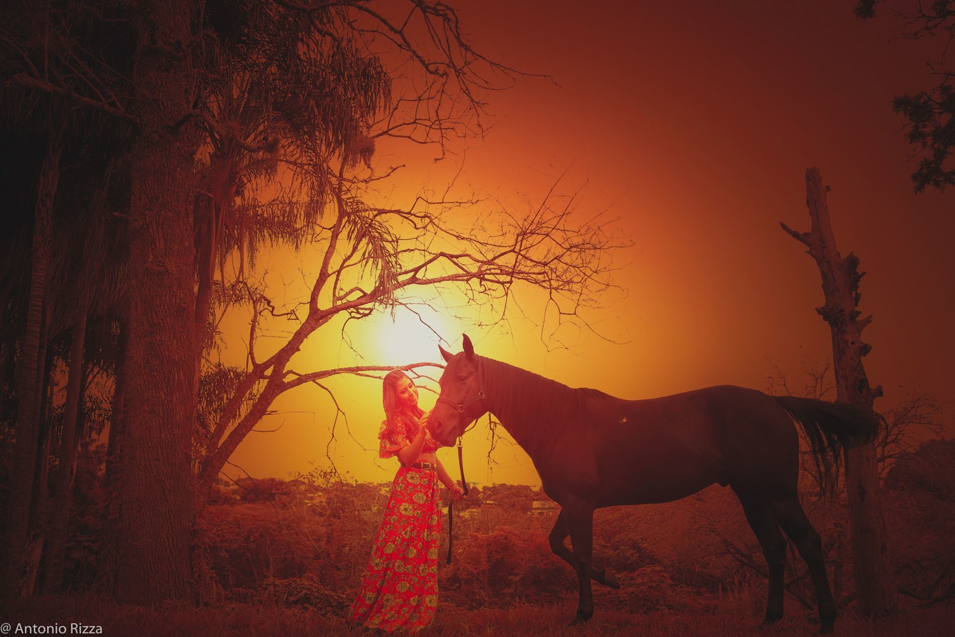 Foto Maria Clara - Imagem 35