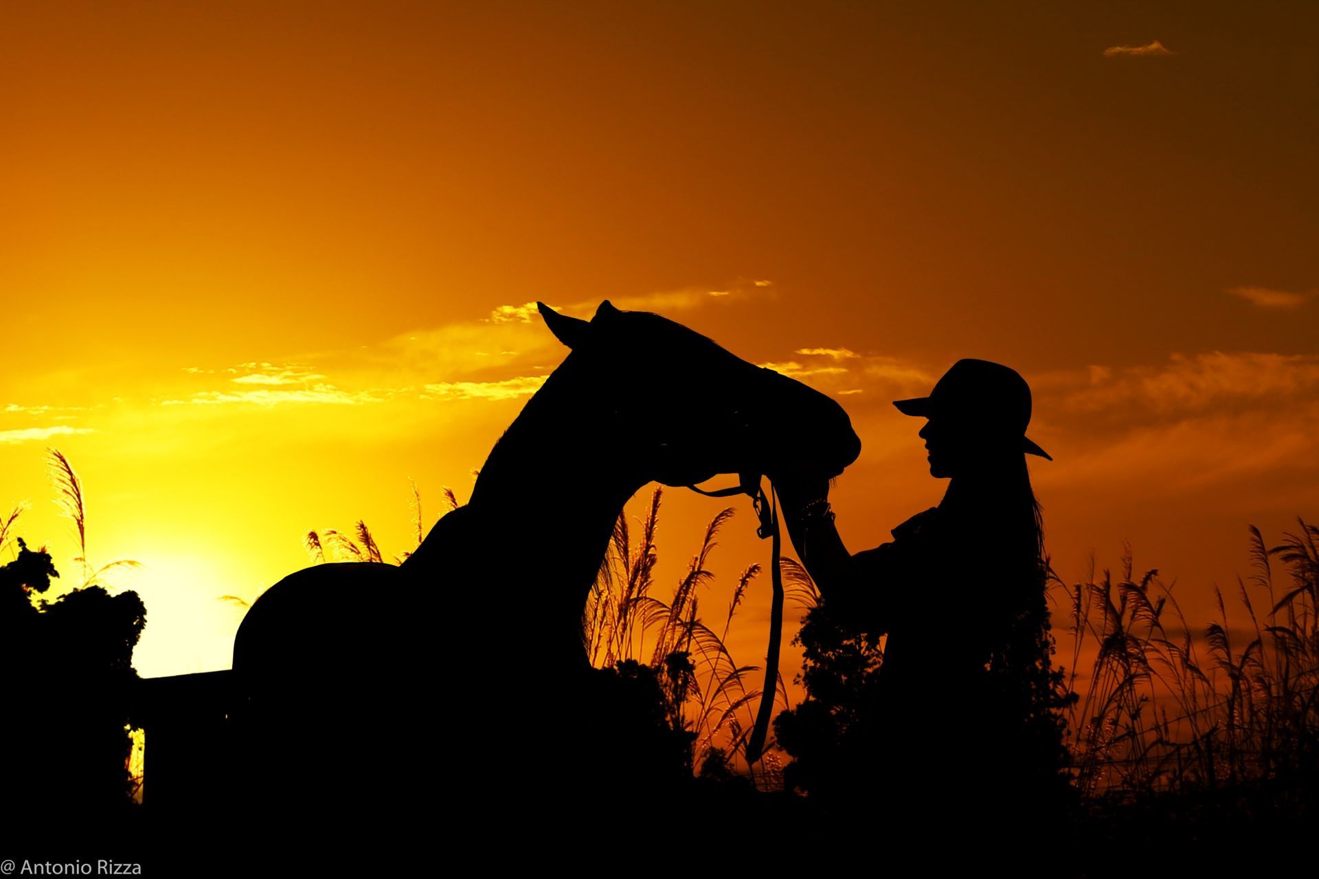 Foto Maria Clara - Imagem 70