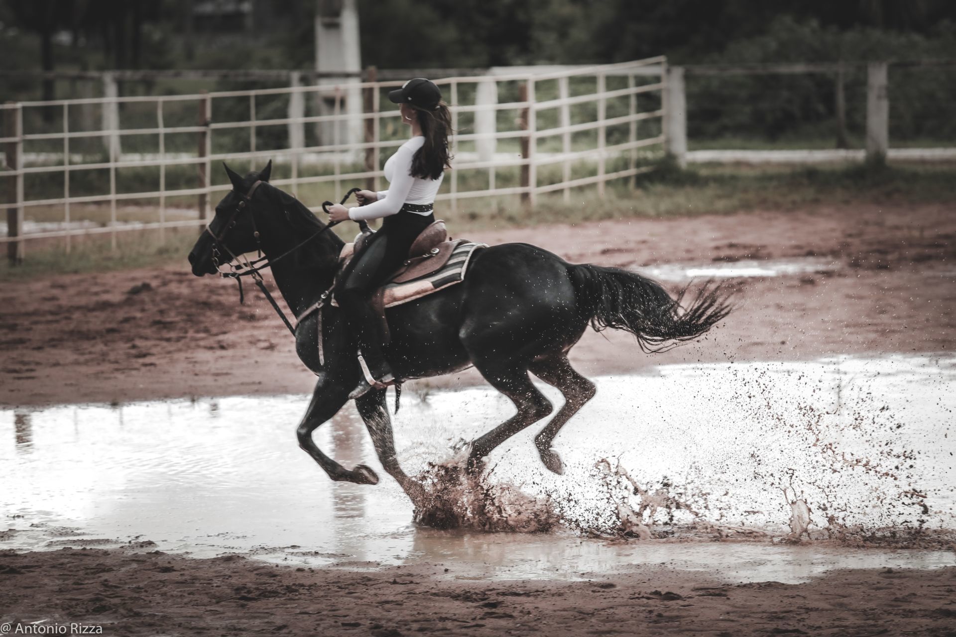 Foto Maria Clara - Imagem 85