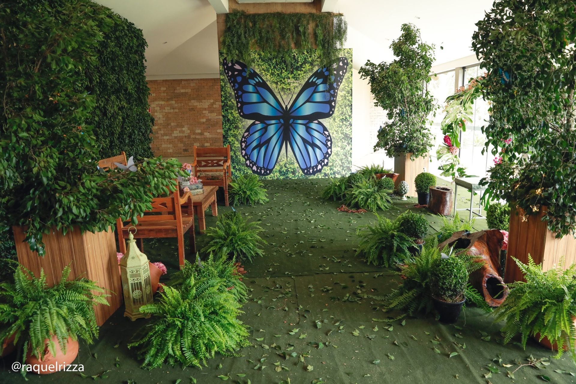 Foto 1 aninho da Helena - Imagem 5