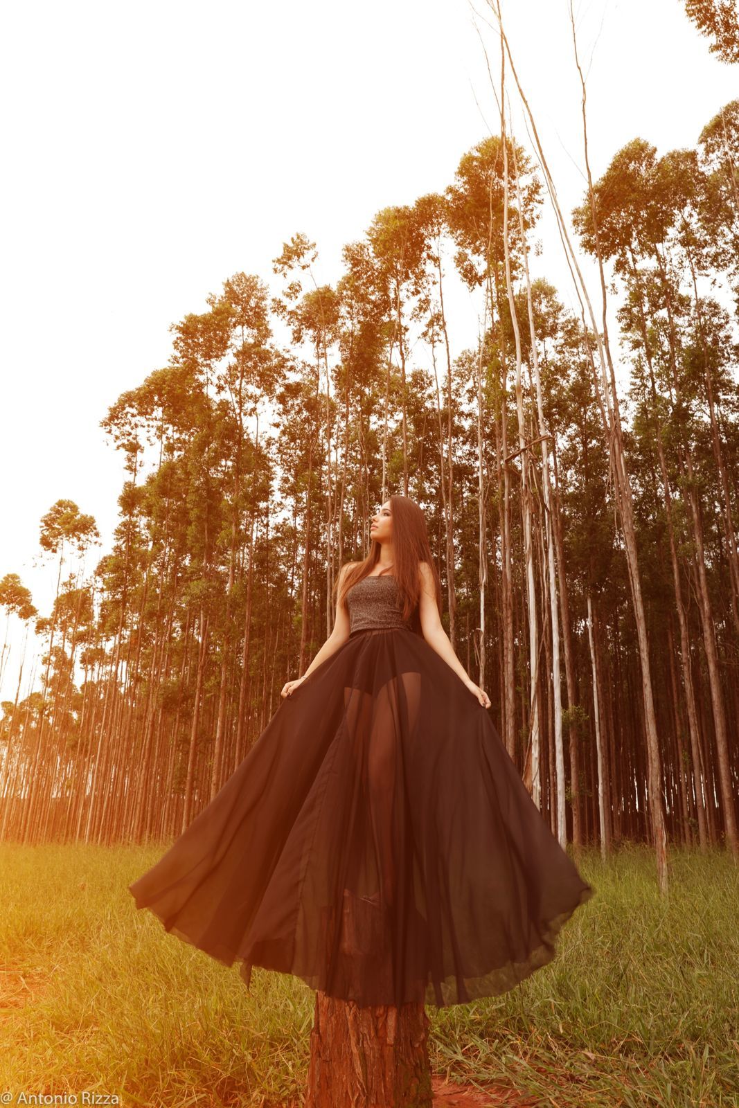 Foto Laura  - Imagem 12