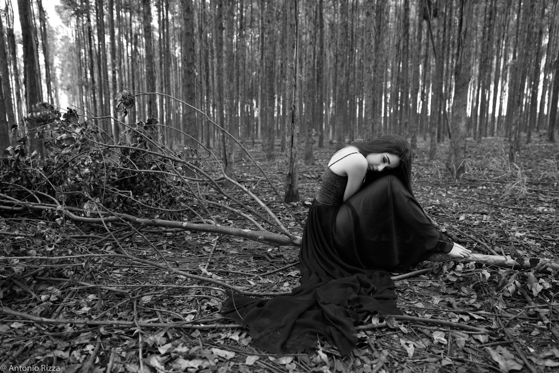 Foto Laura  - Imagem 26