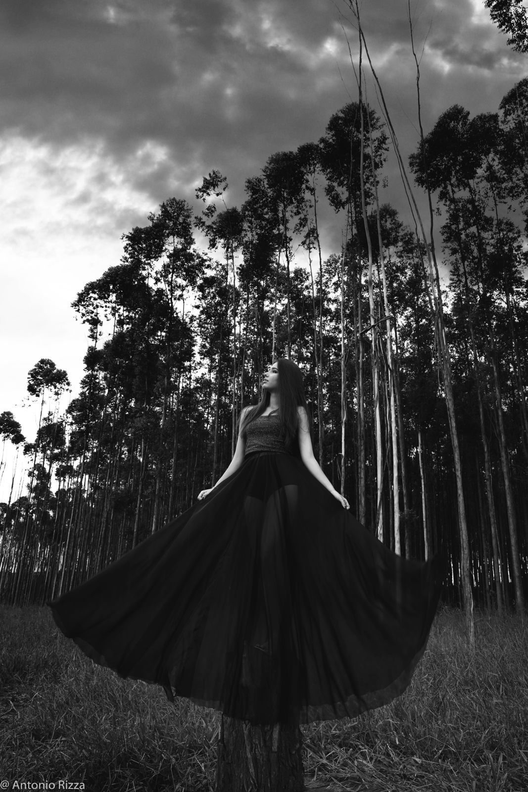 Foto Laura  - Imagem 23