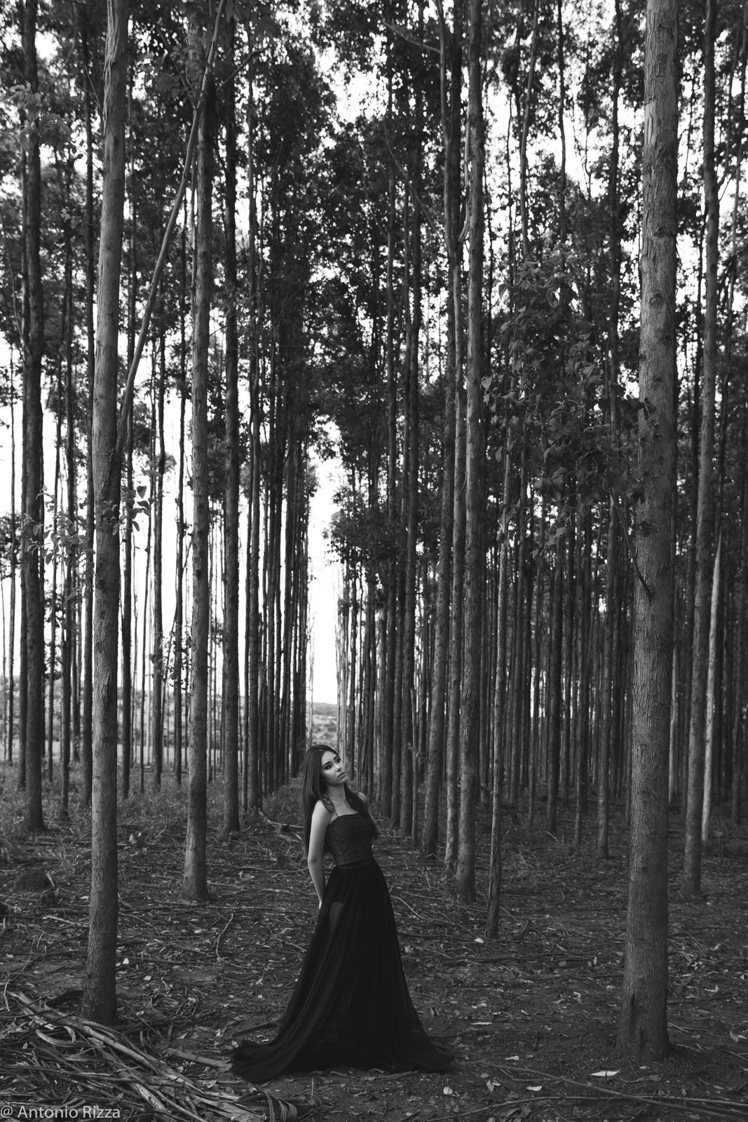 Foto Laura  - Imagem 44