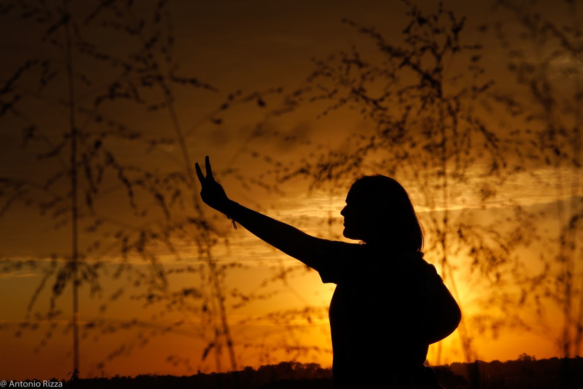 Foto Ana Clara Leonel - Imagem 62