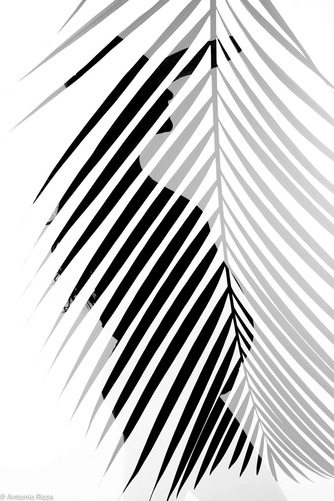 Foto A melhor espera...   - Imagem 0