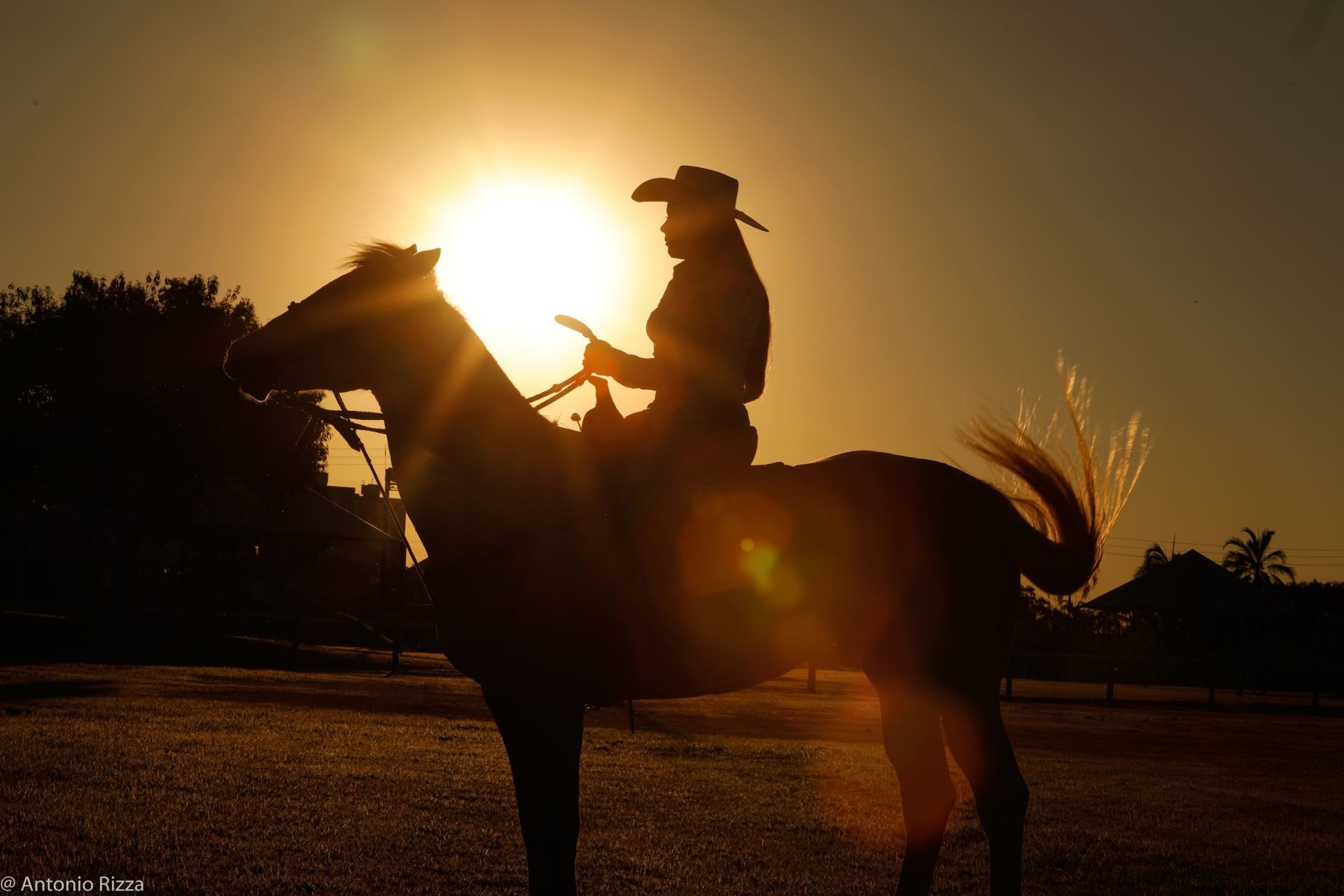 Foto Ensaio Lana - Imagem 98