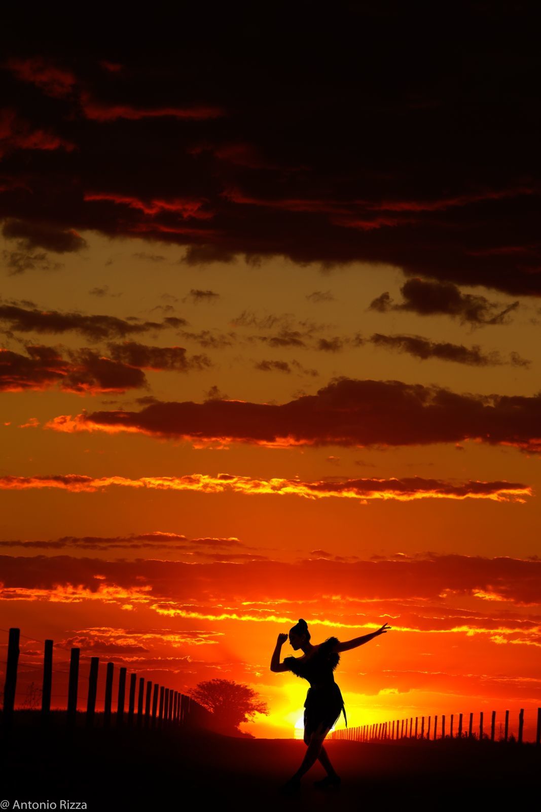 Foto Ana Castro - Imagem 3