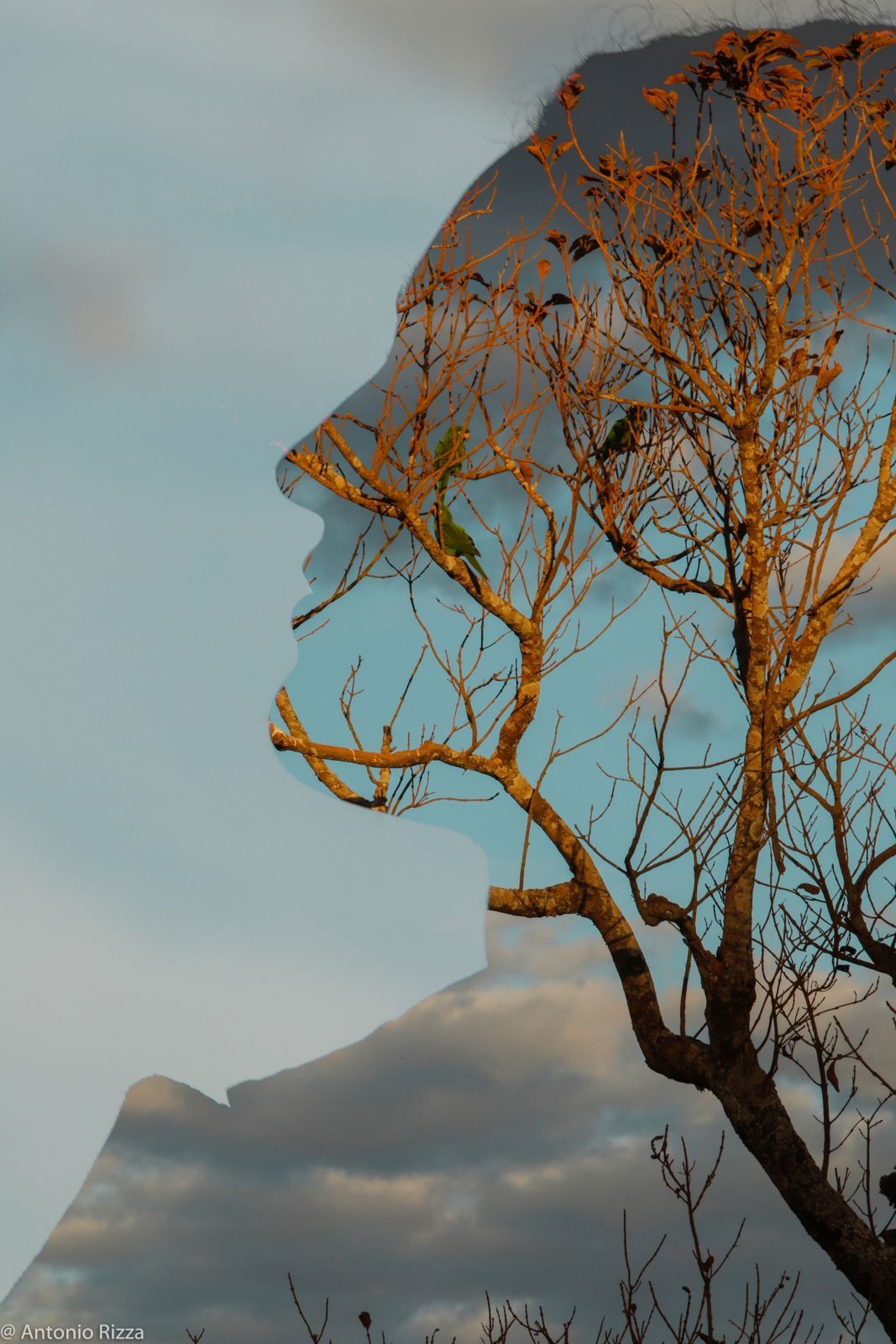 Foto Ana Castro - Imagem 54