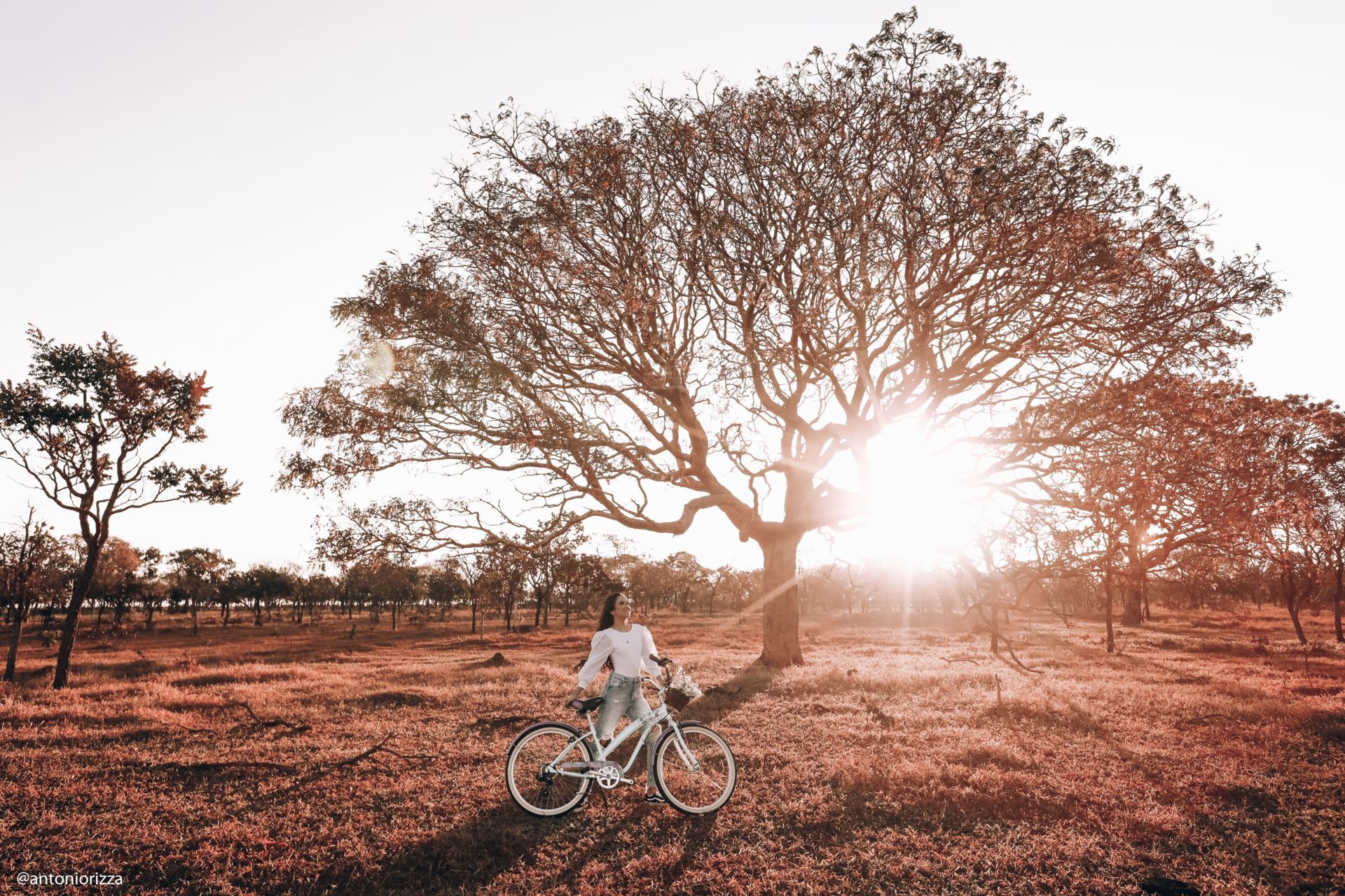 Foto Maria Fernanda Serafim - Imagem 68