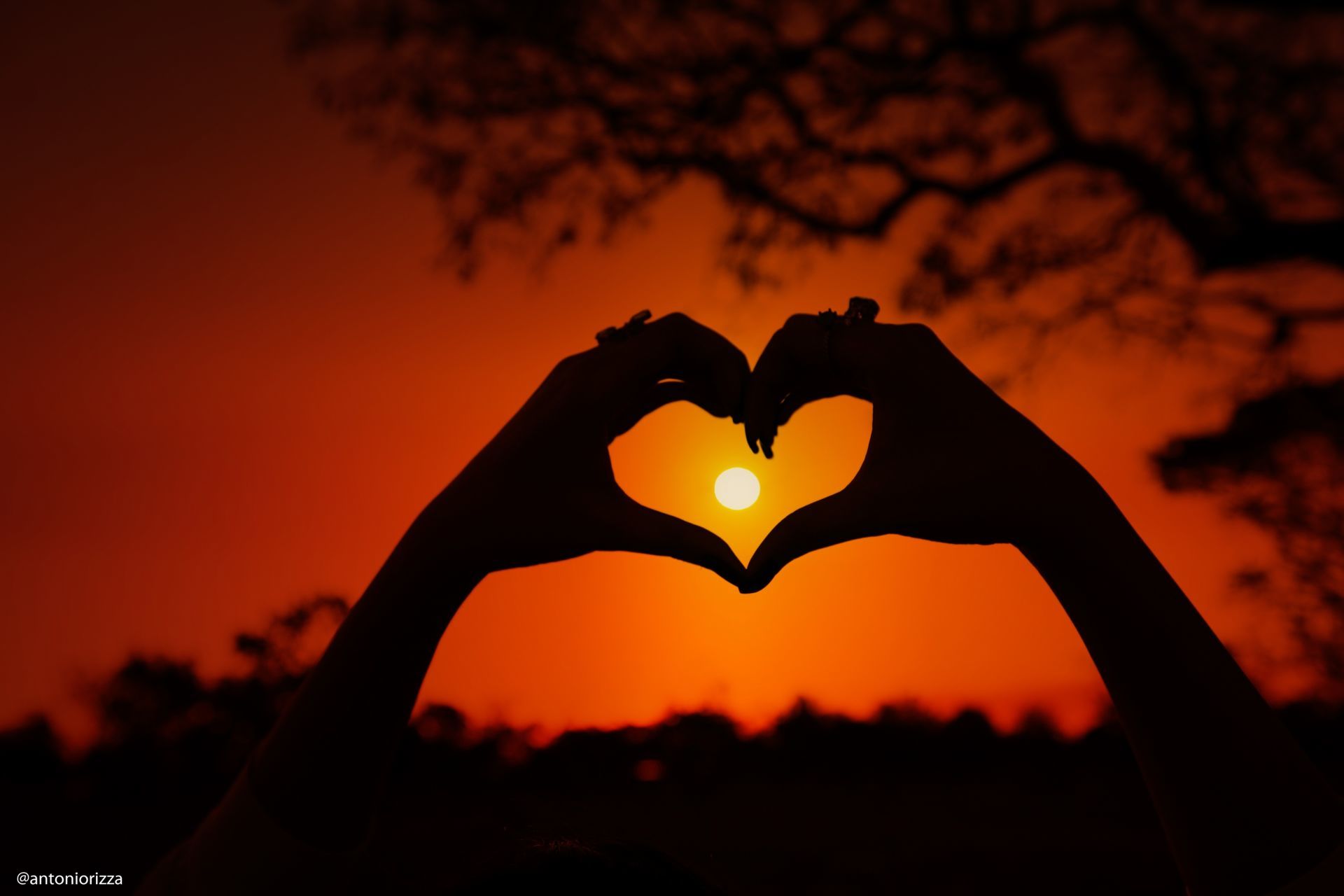 Foto Maria Fernanda Serafim - Imagem 101