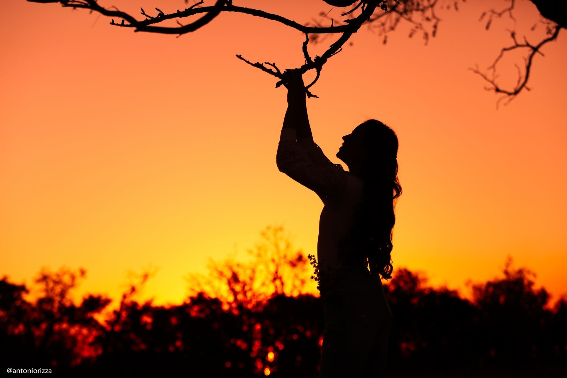 Foto Maria Fernanda Serafim - Imagem 97