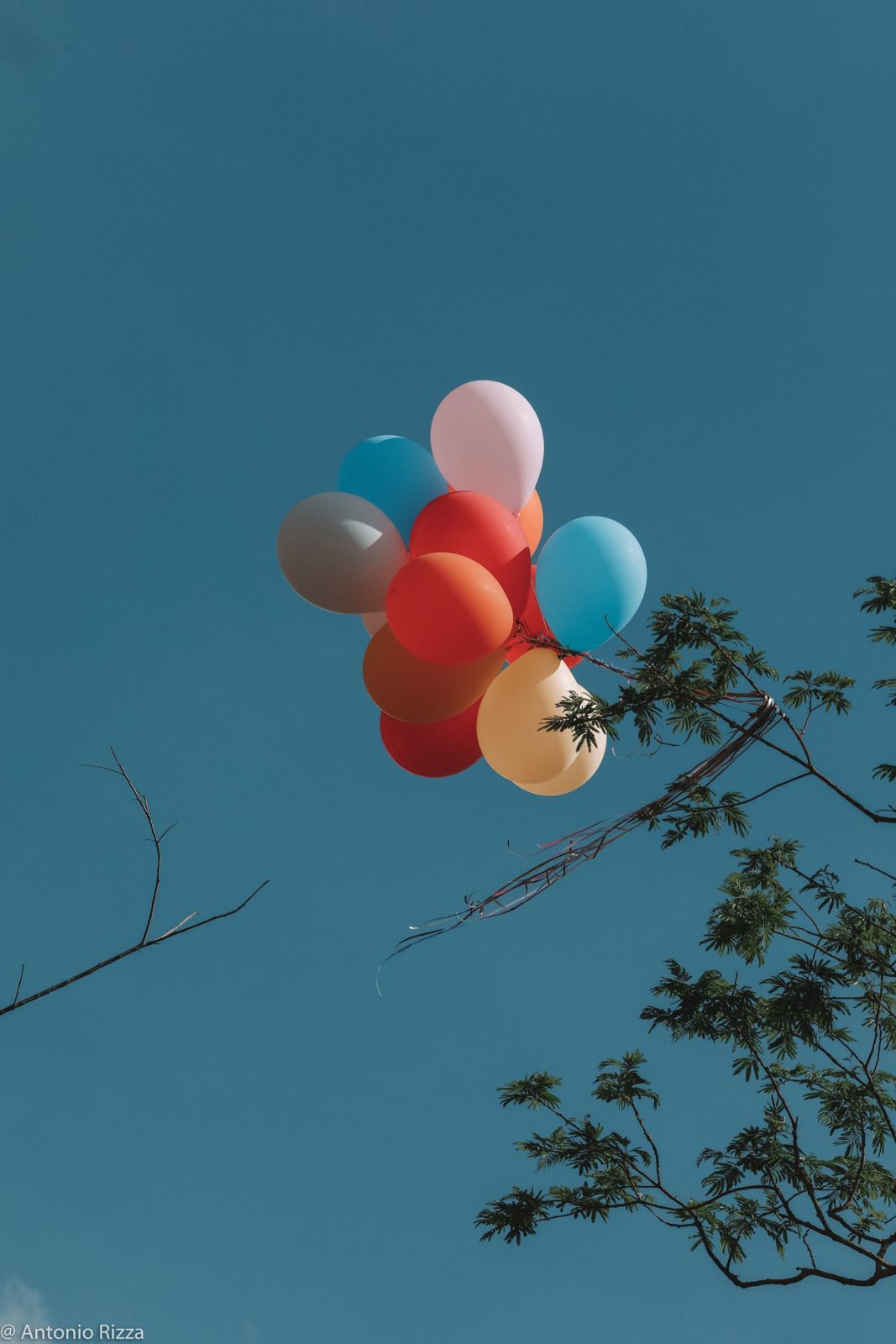 Foto Maria Eduarda - Imagem 0