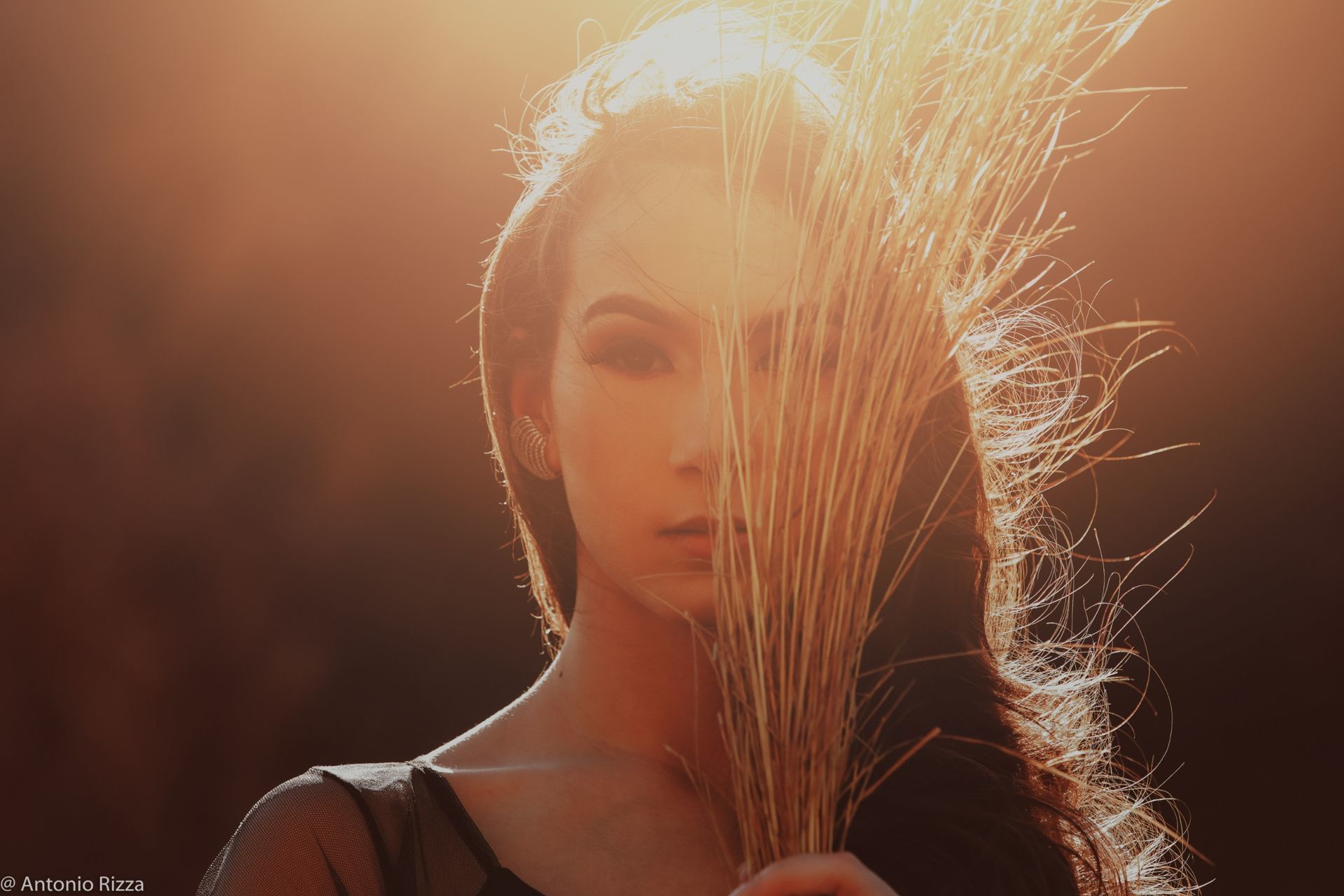 Foto Ana Luiza - Imagem 5