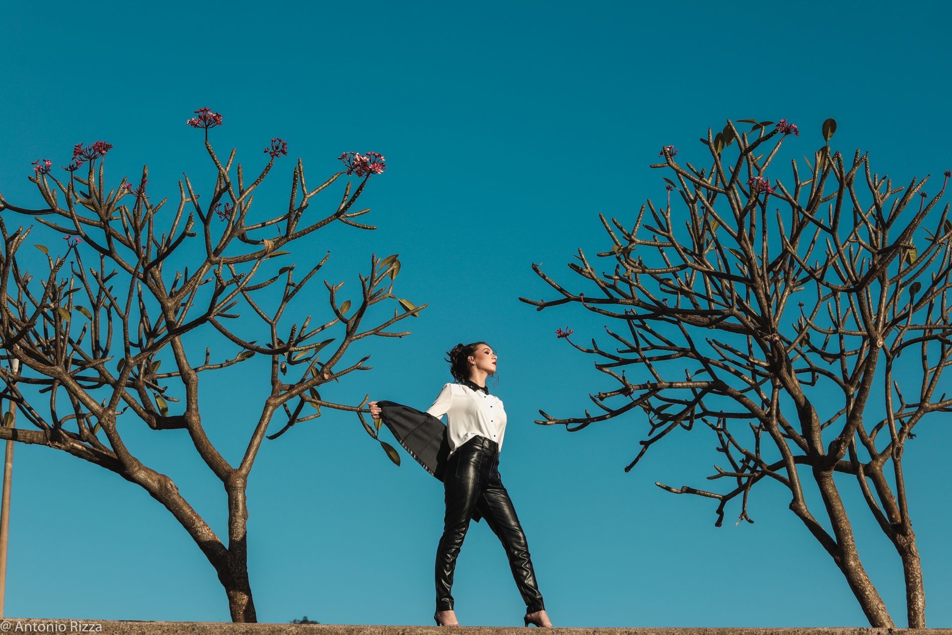 Foto Ana Luiza - Imagem 115