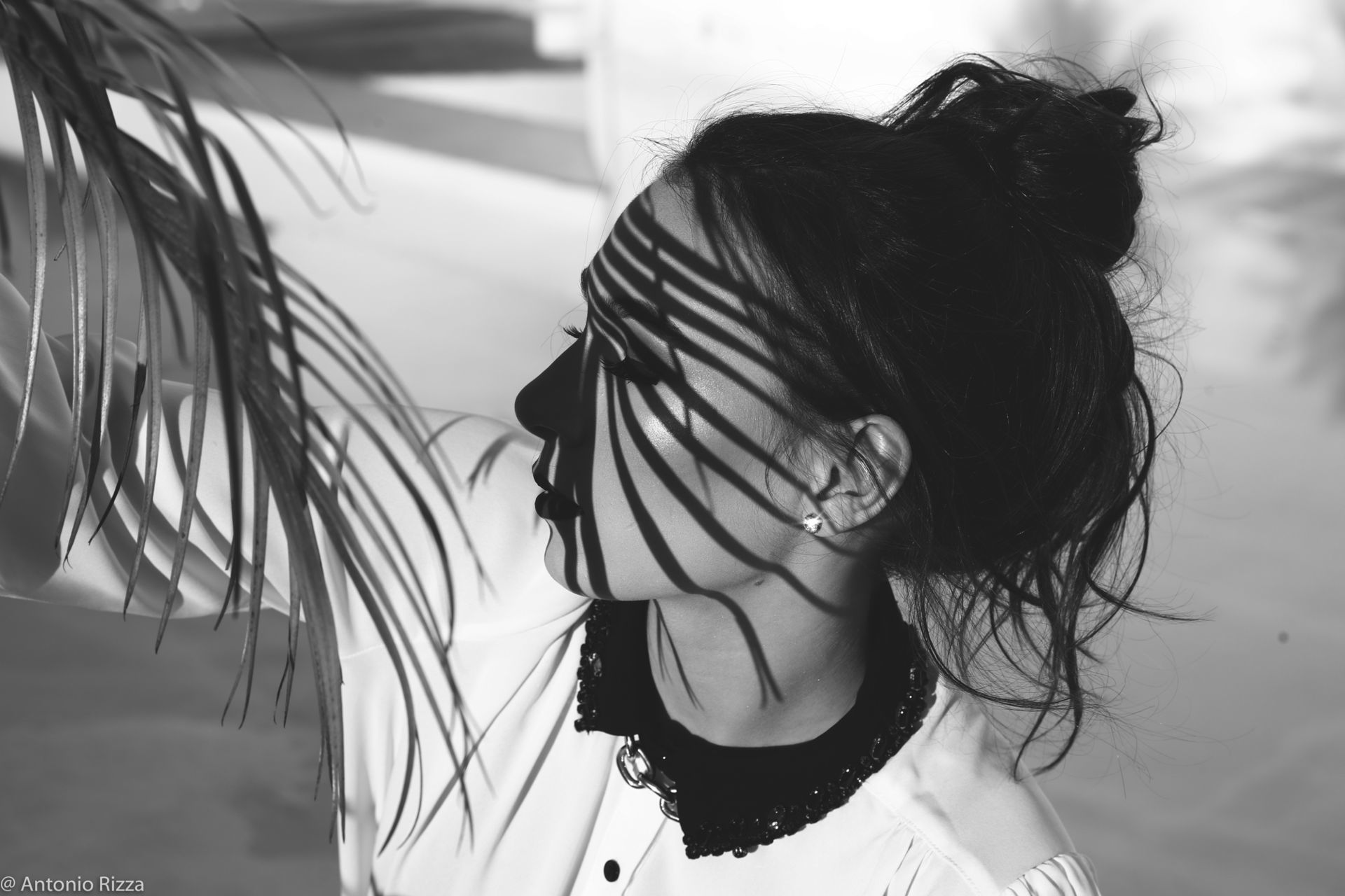 Foto Ana Luiza - Imagem 118