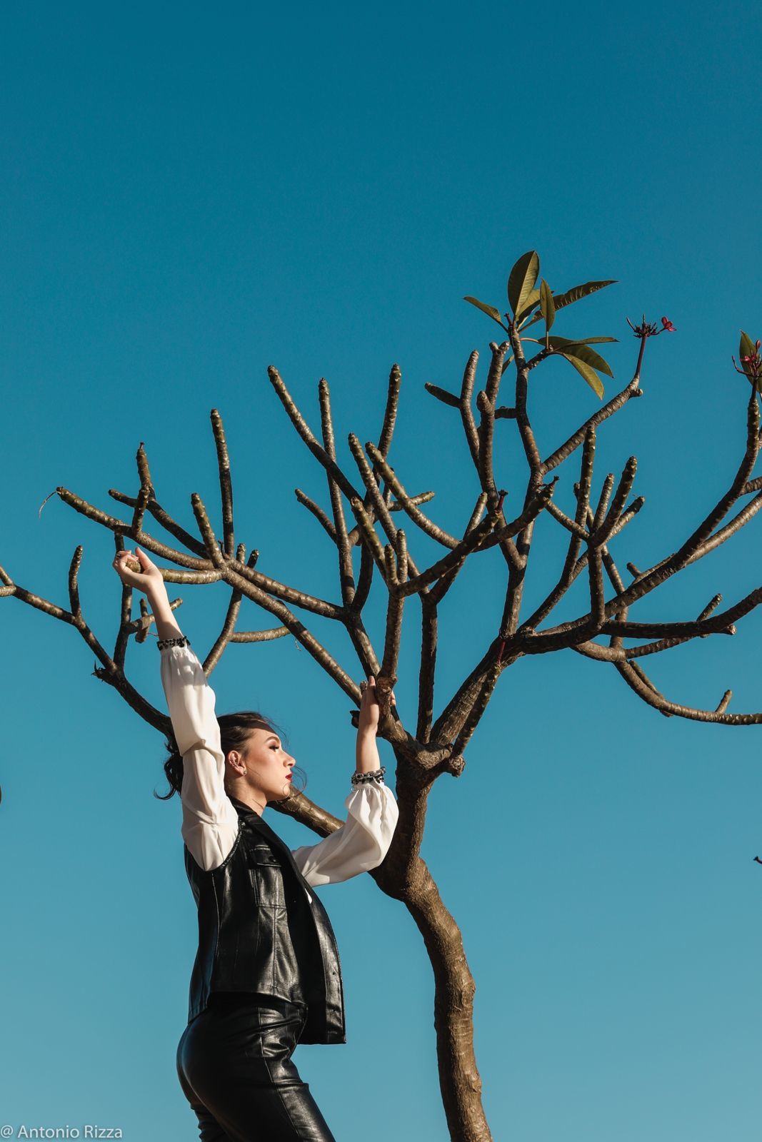 Foto Ana Luiza - Imagem 128