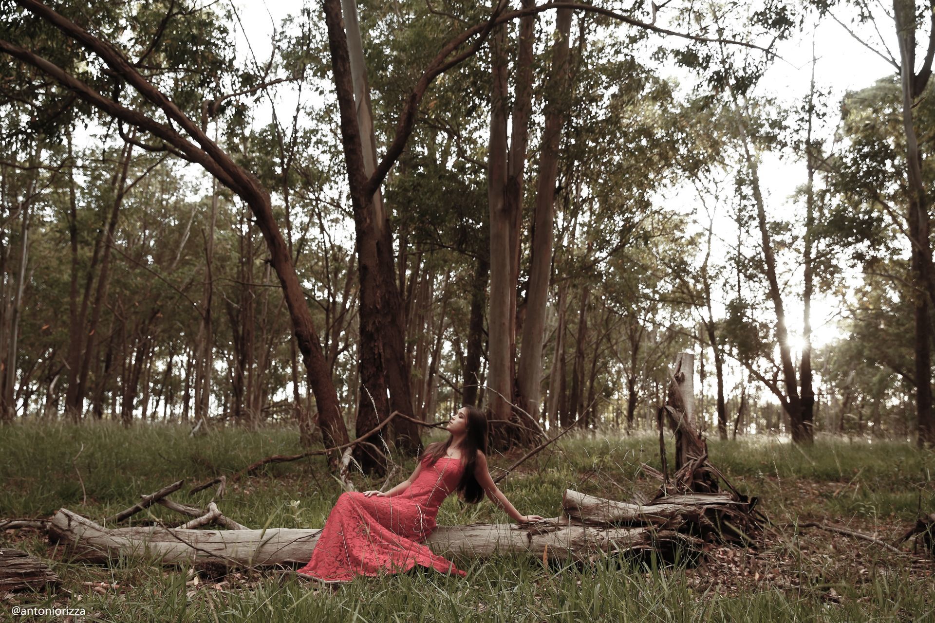 Foto Sophia Peixoto - Imagem 24