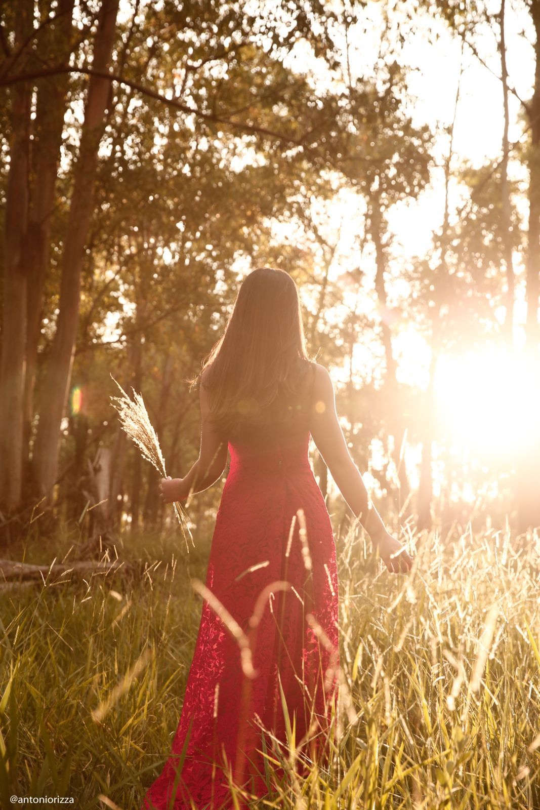 Foto Sophia Peixoto - Imagem 100